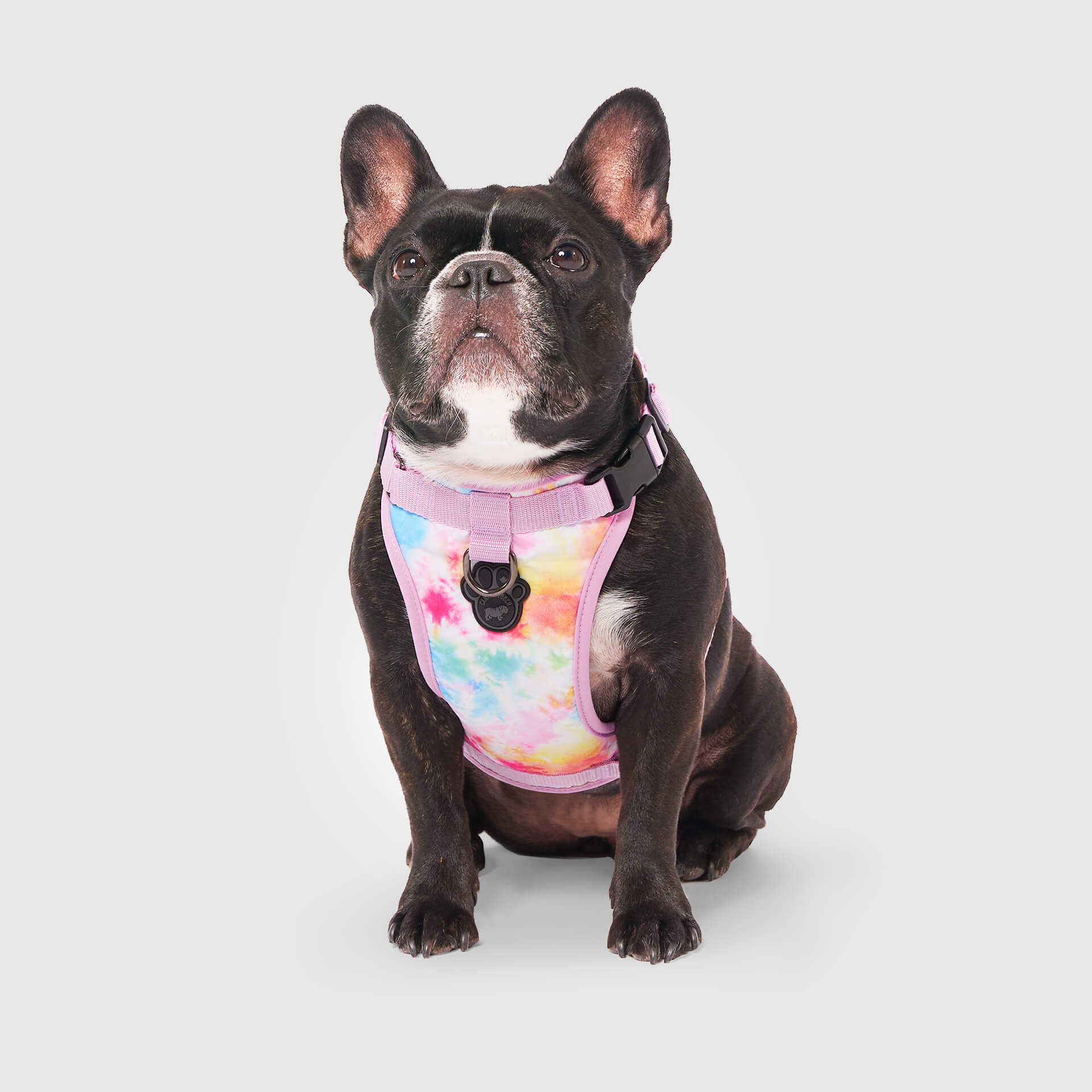The Everything Harness Water-Resistant Series - Image 24