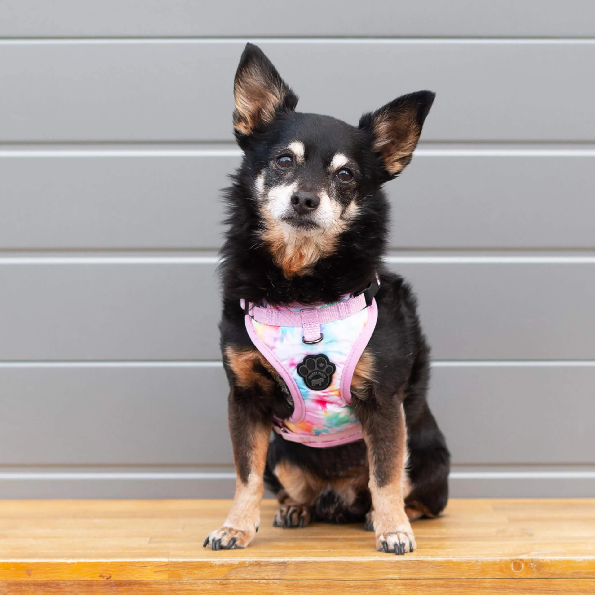 The Everything Harness Water-Resistant Series - Image 28