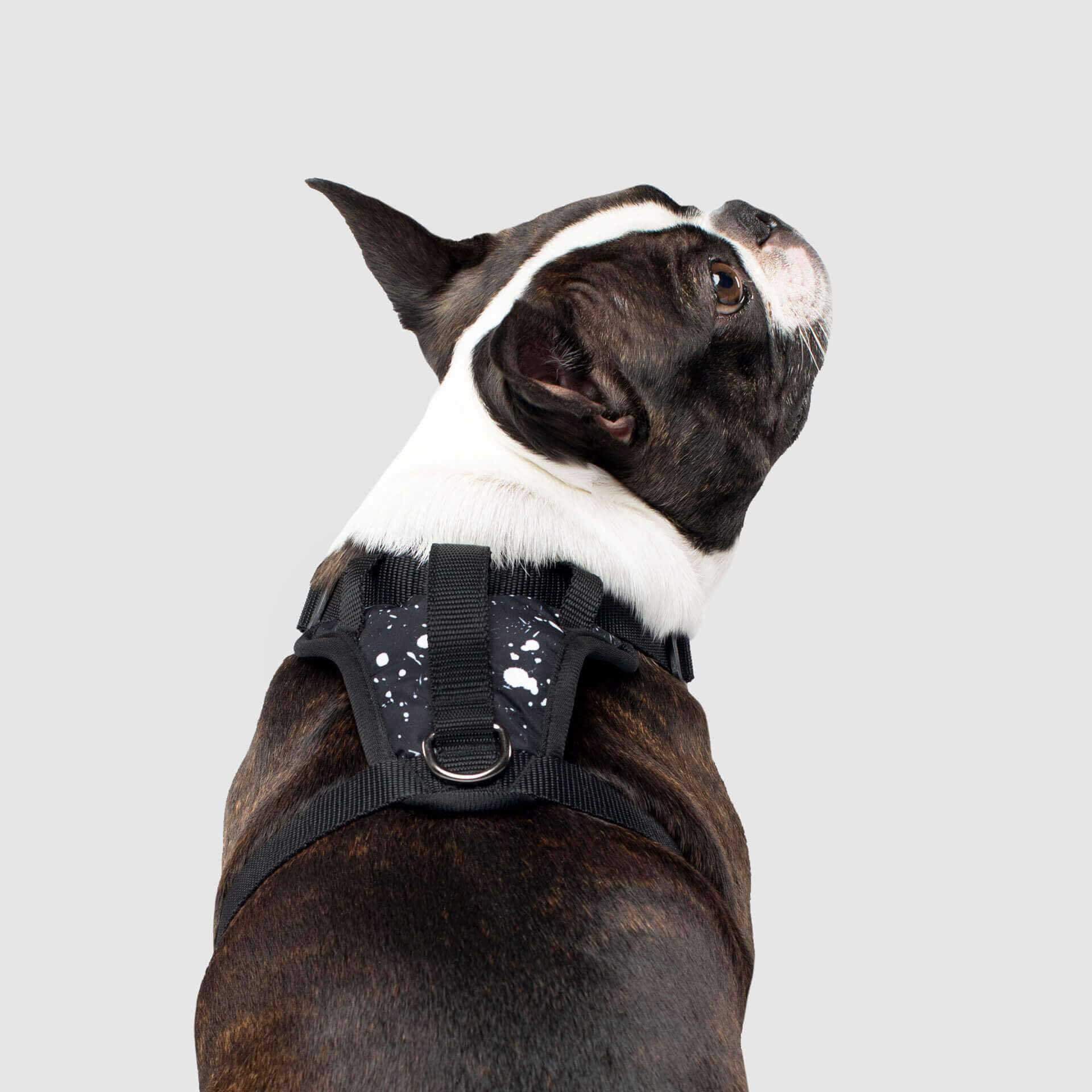 The Everything Harness Water-Resistant Series - Image 3
