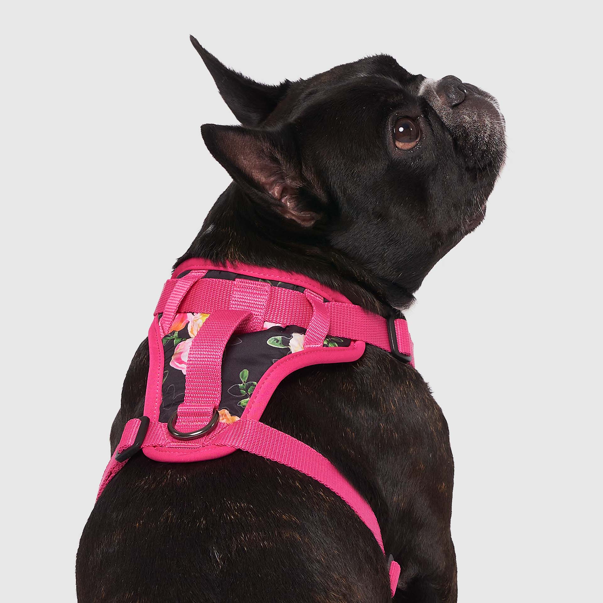 The Everything Harness Water-Resistant Series - Image 31