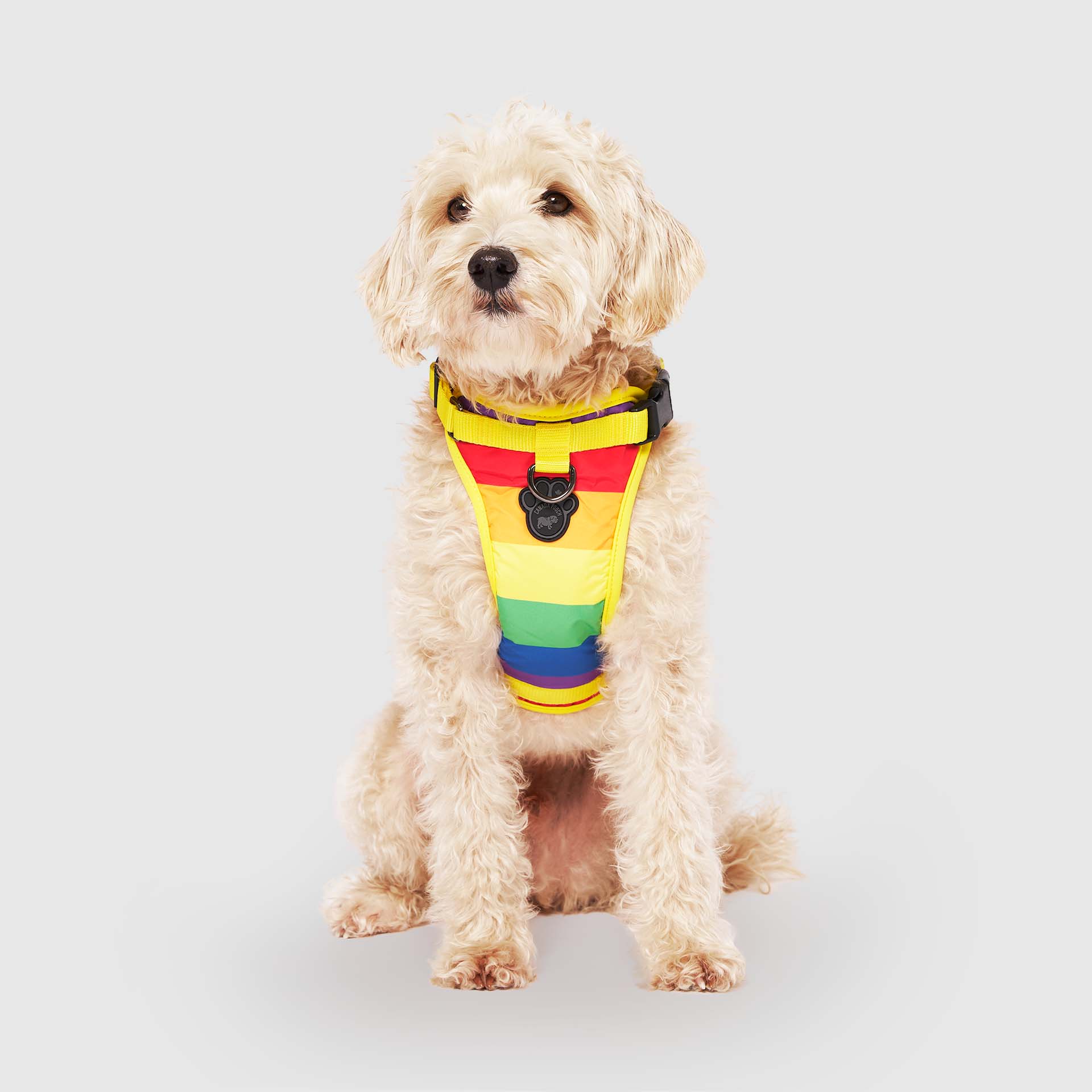 The Everything Harness Water-Resistant Series - Image 33
