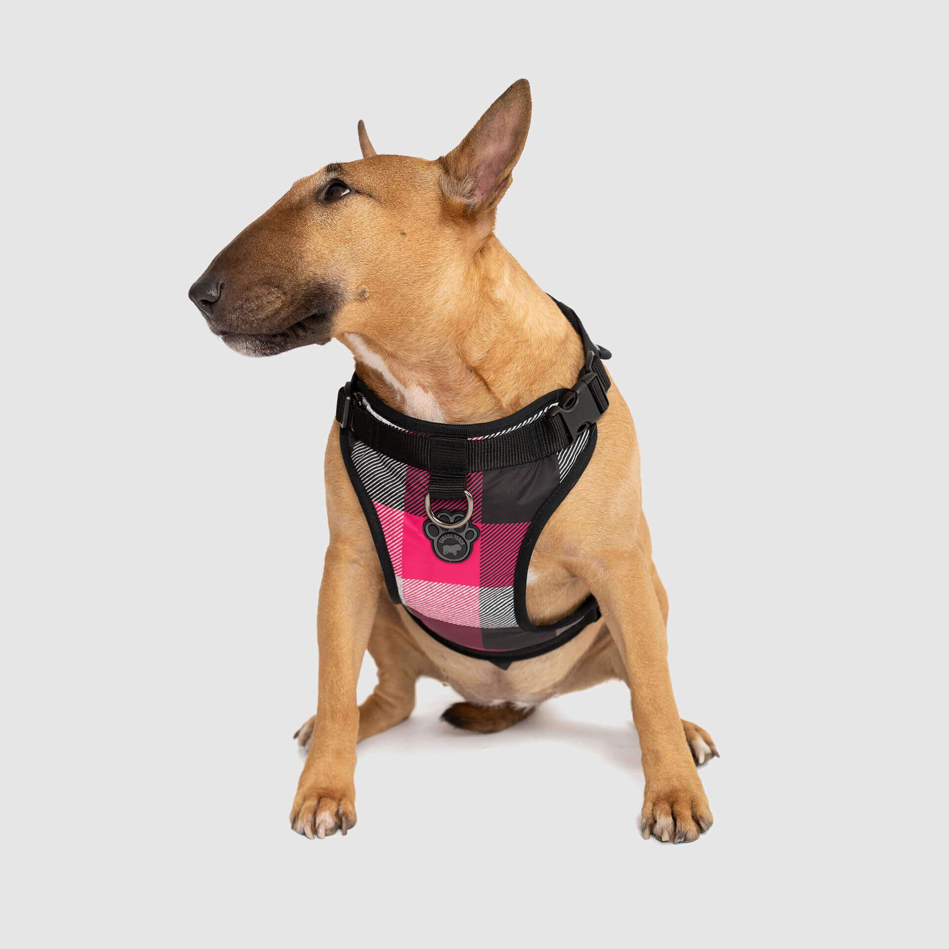 The Everything Harness Water-Resistant Series - Image 6