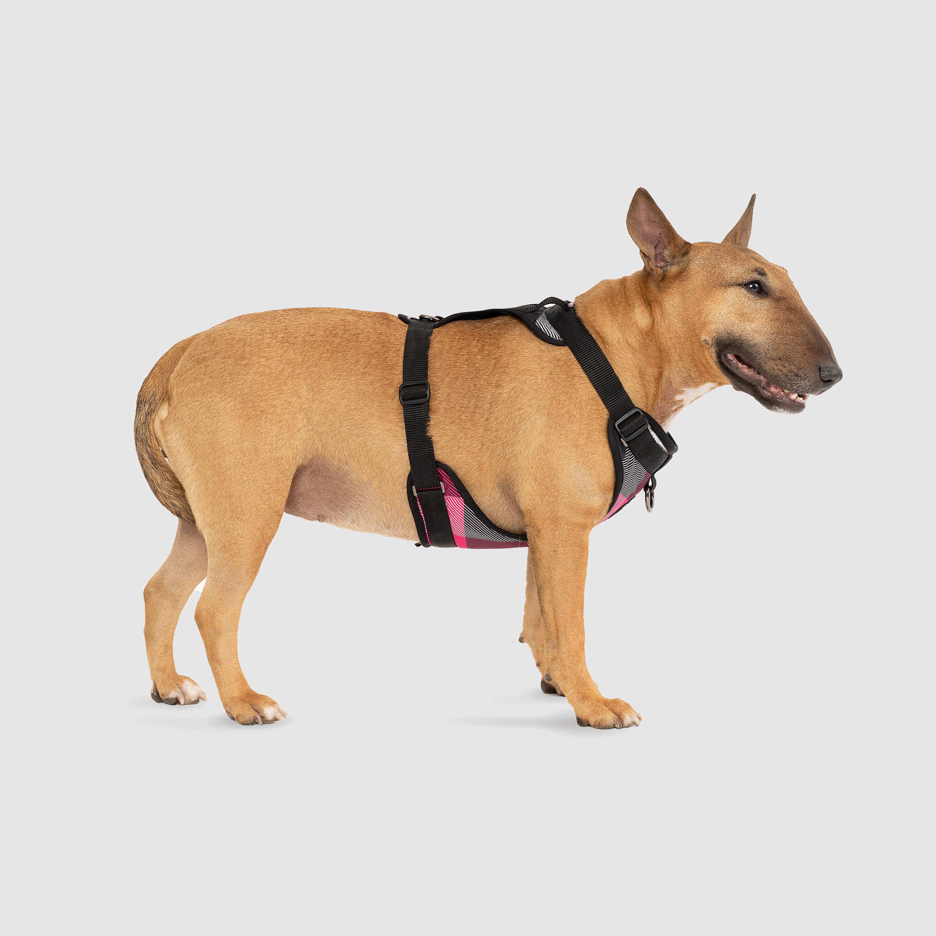 The Everything Harness Water-Resistant Series - Image 7