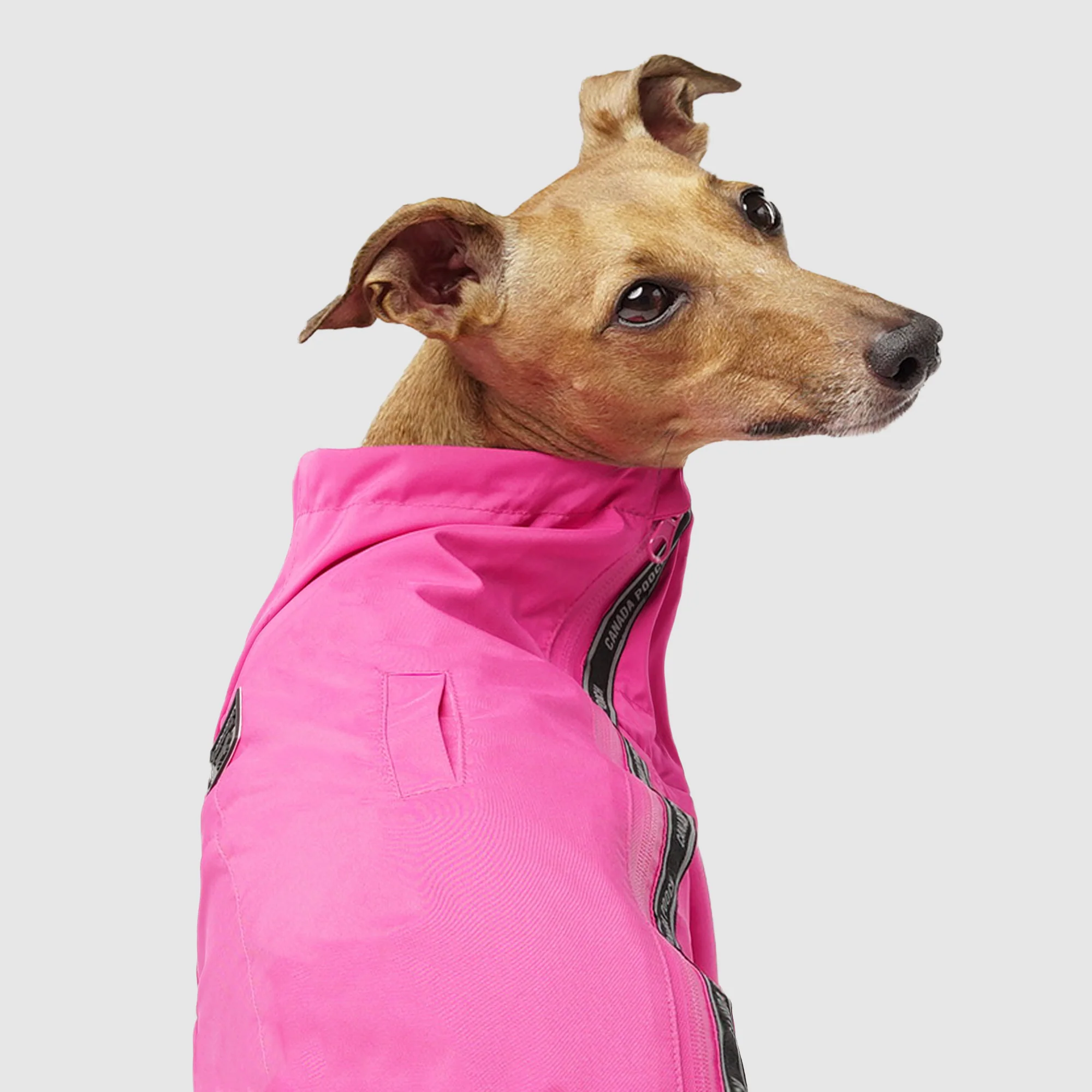 The Slush Suit - Image 12