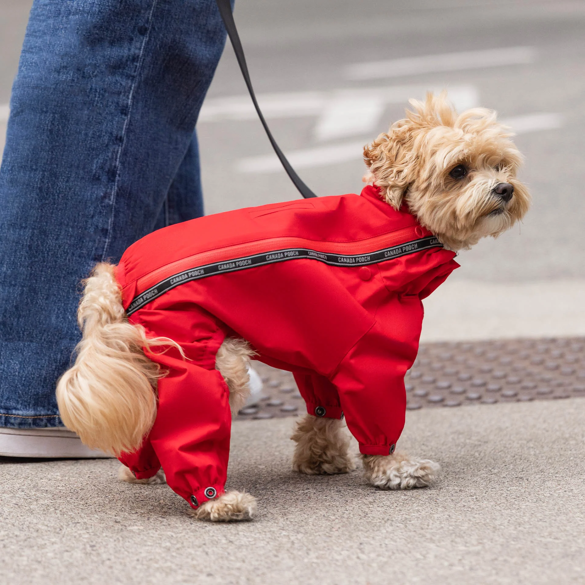 The Slush Suit - Image 25