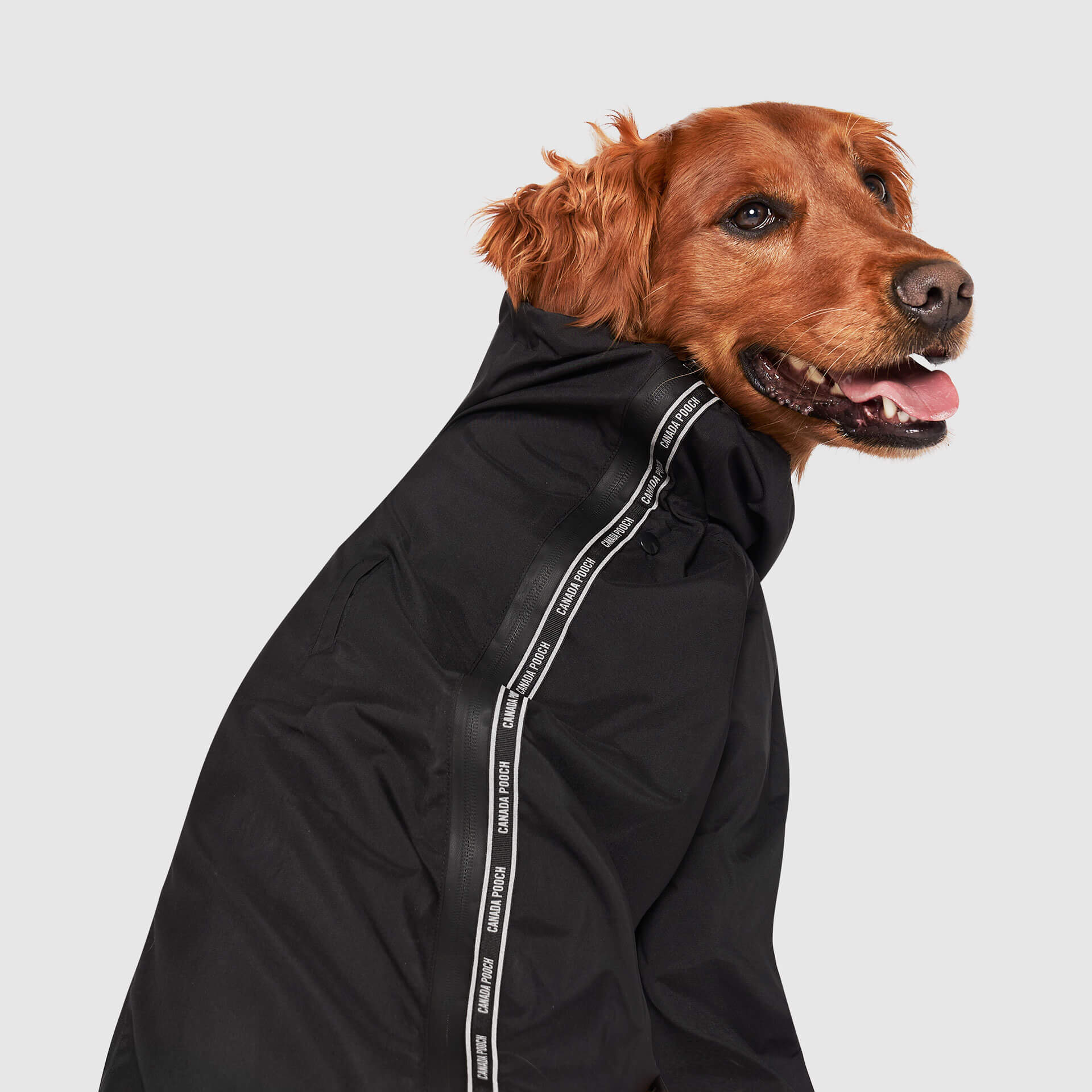 The Slush Suit - Image 6