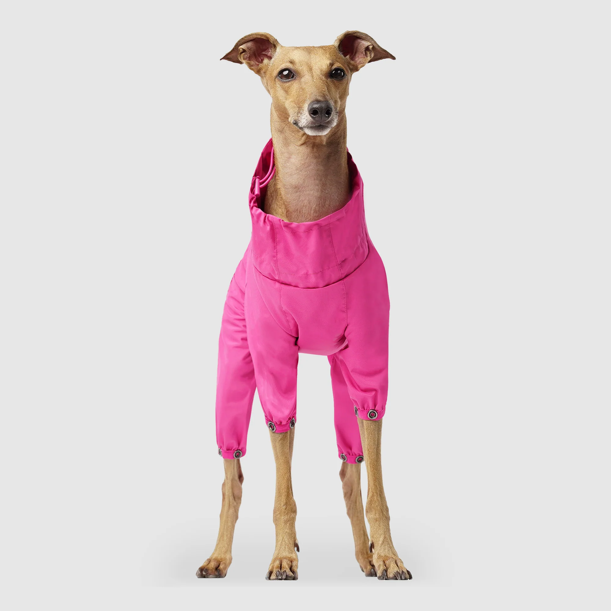 The Slush Suit - Image 8