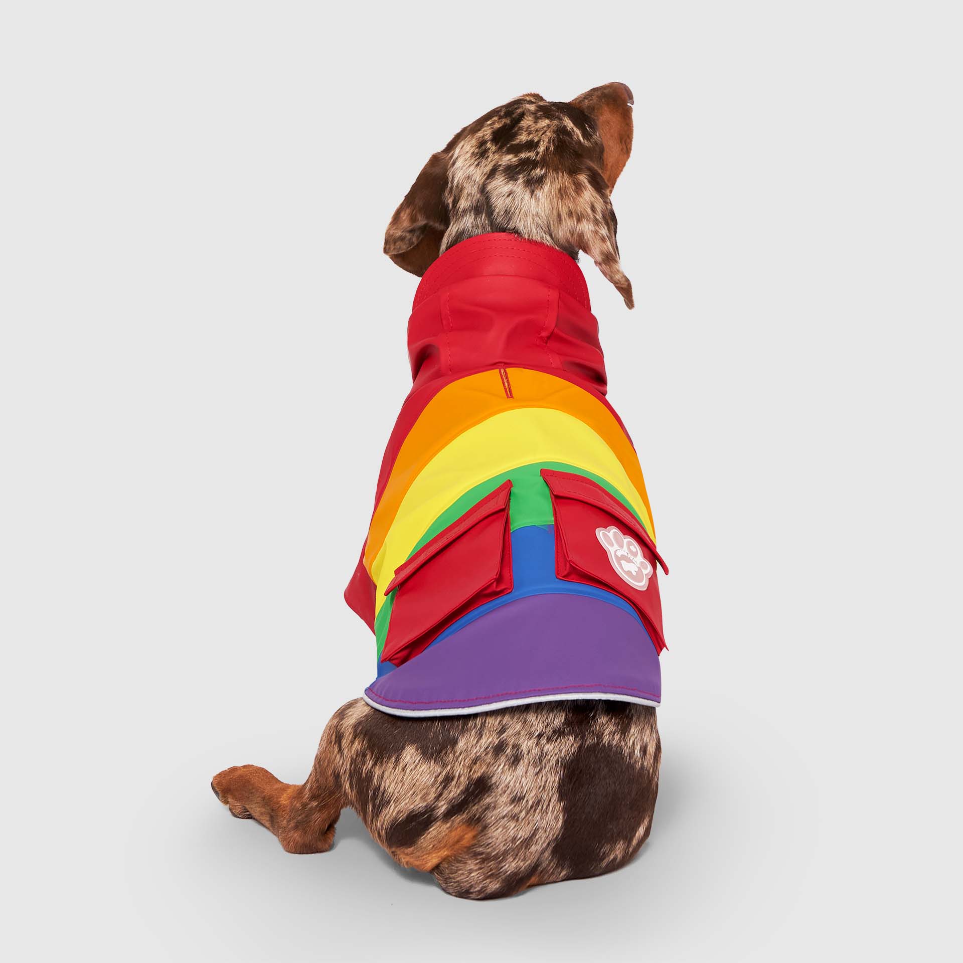 Torrential Tracker - Image 19