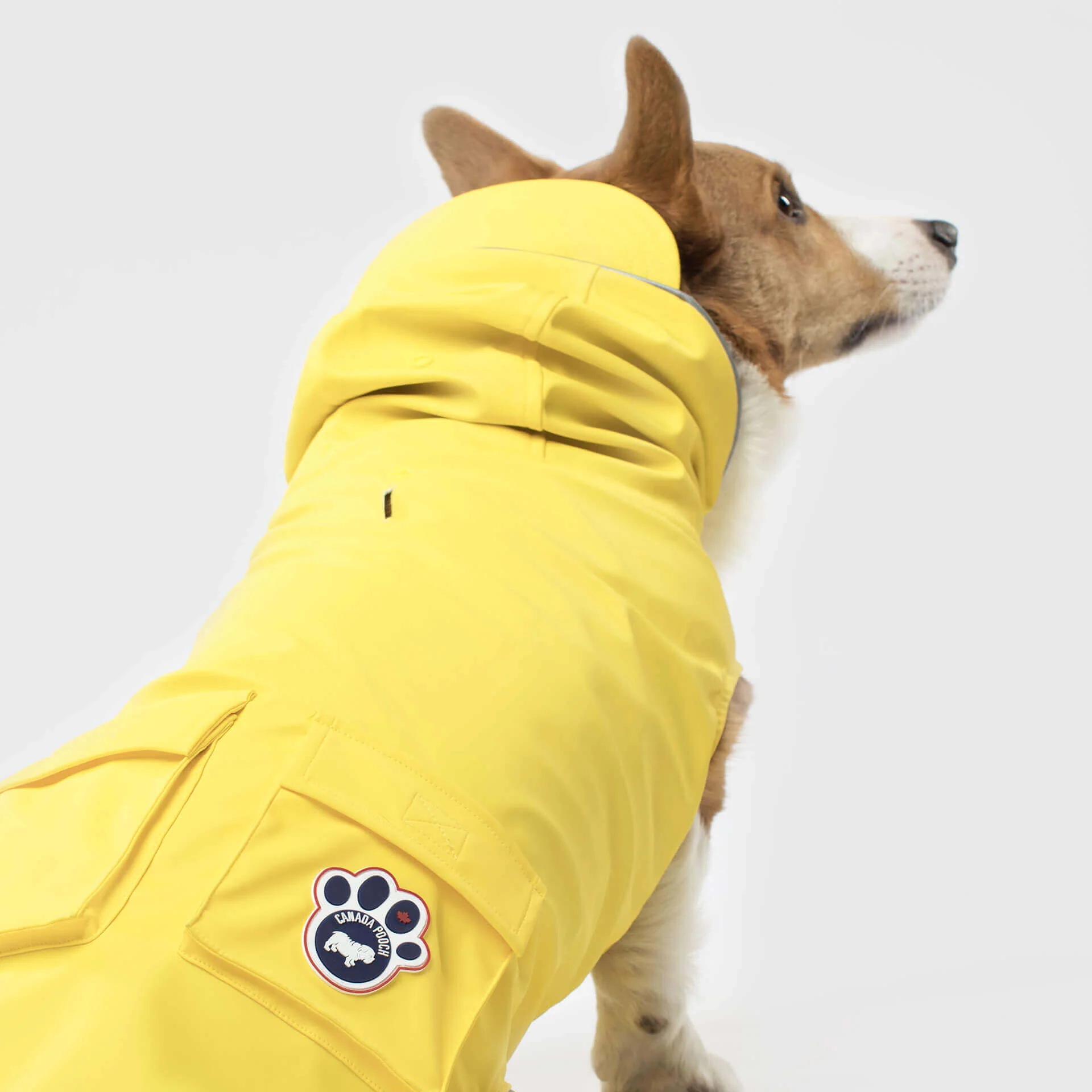 Torrential Tracker - Image 5