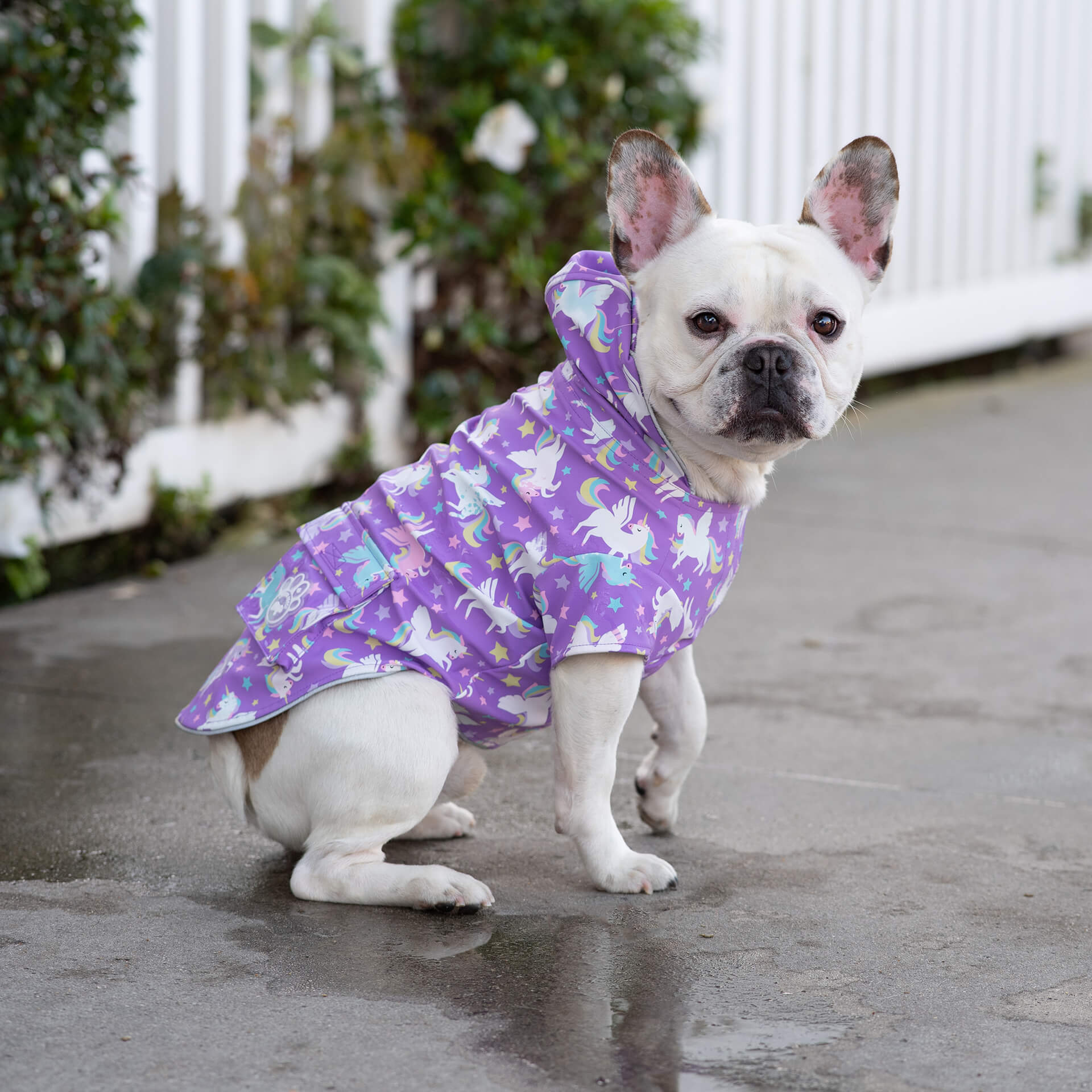 Wet Reveal Torrential Tracker - Image 10