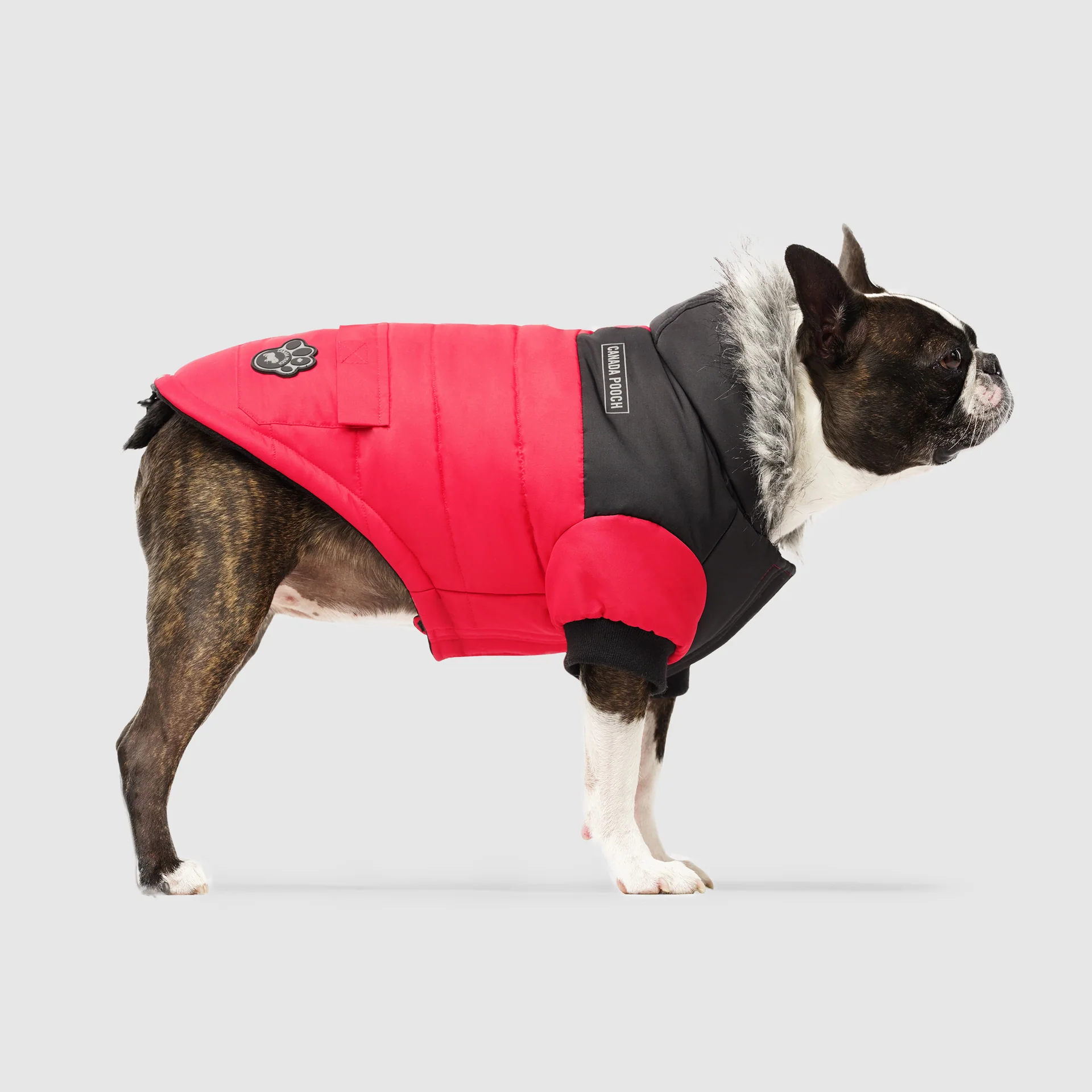 True North Parka - Image 11