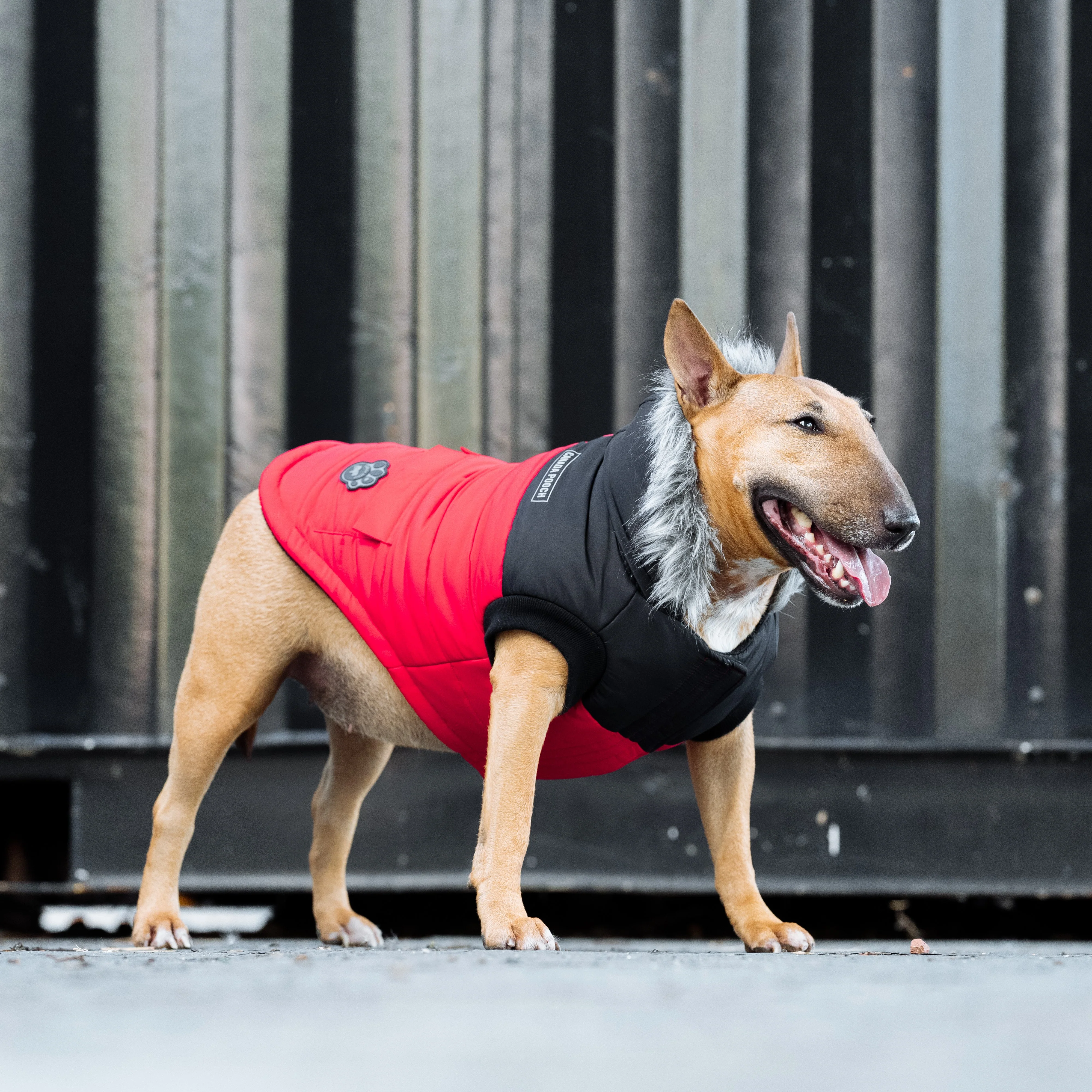 True North Parka - Image 15