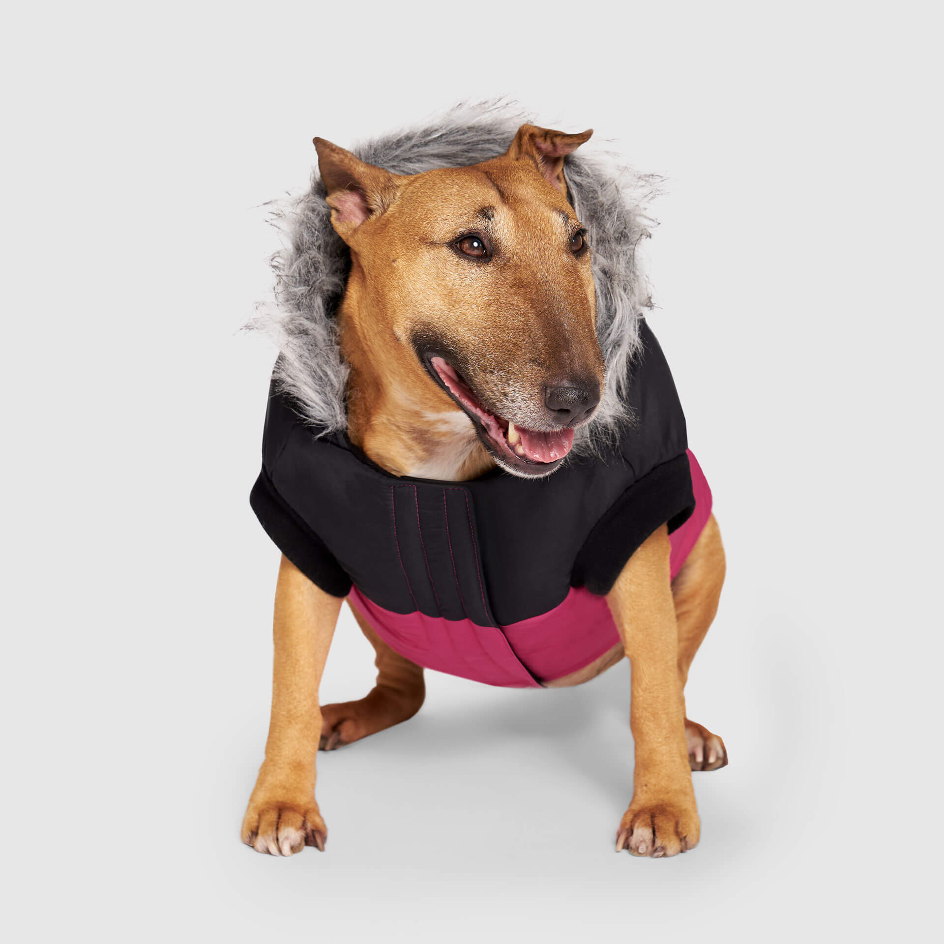 True North Parka - Image 17
