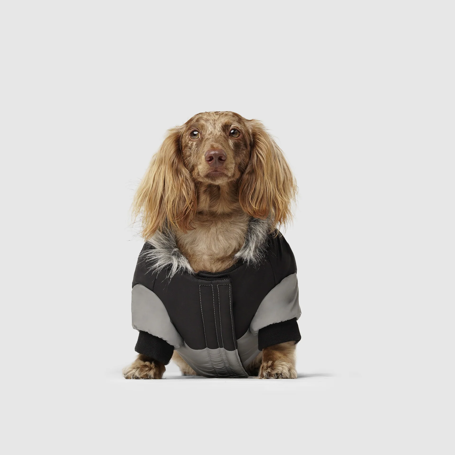 True North Parka - Image 4
