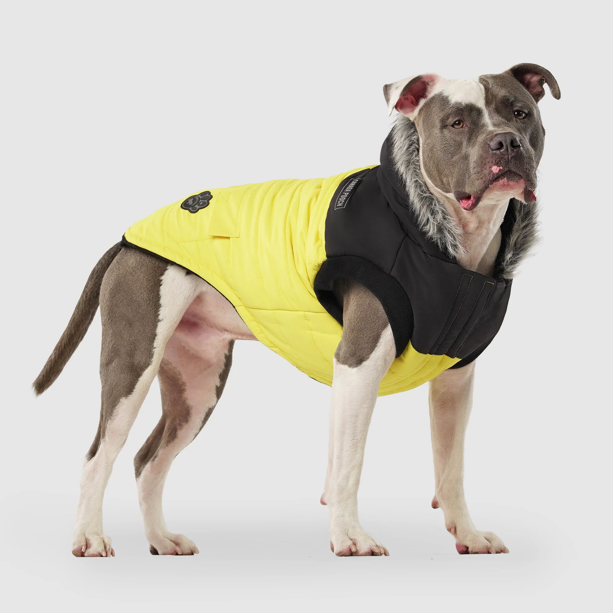 True North Parka - Image 7