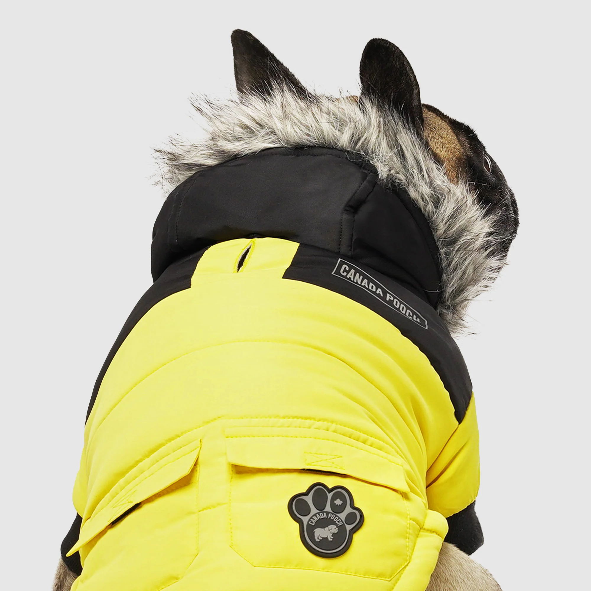 True North Parka - Image 9