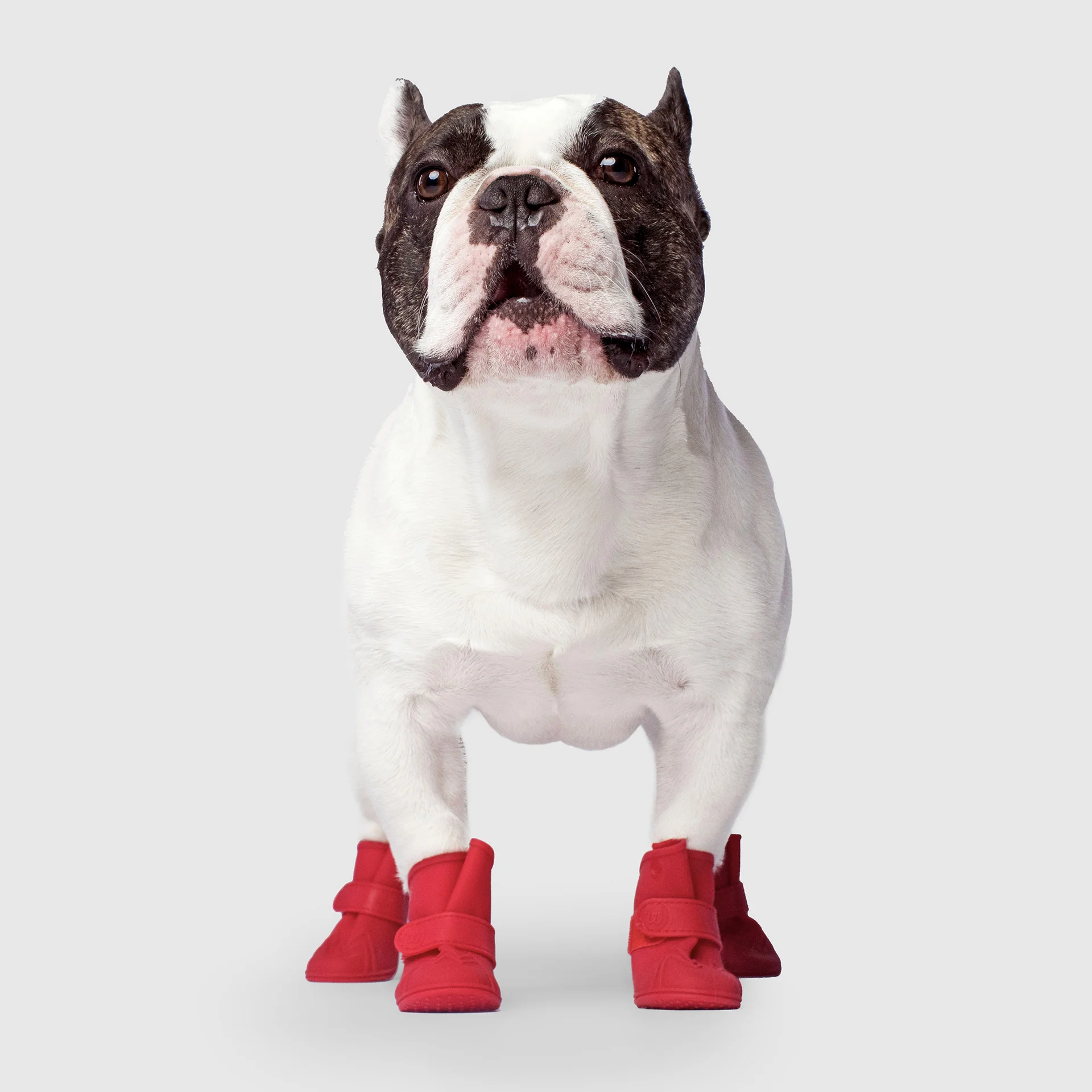 Unlined Wellies - Image 5