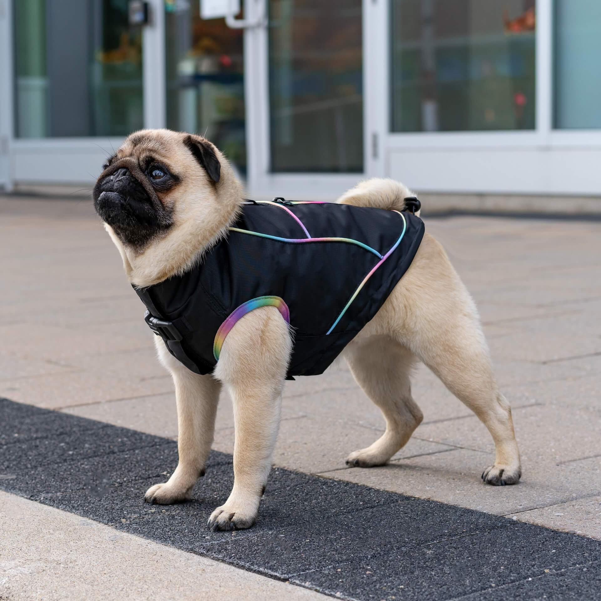 Utility Parka - Image 6