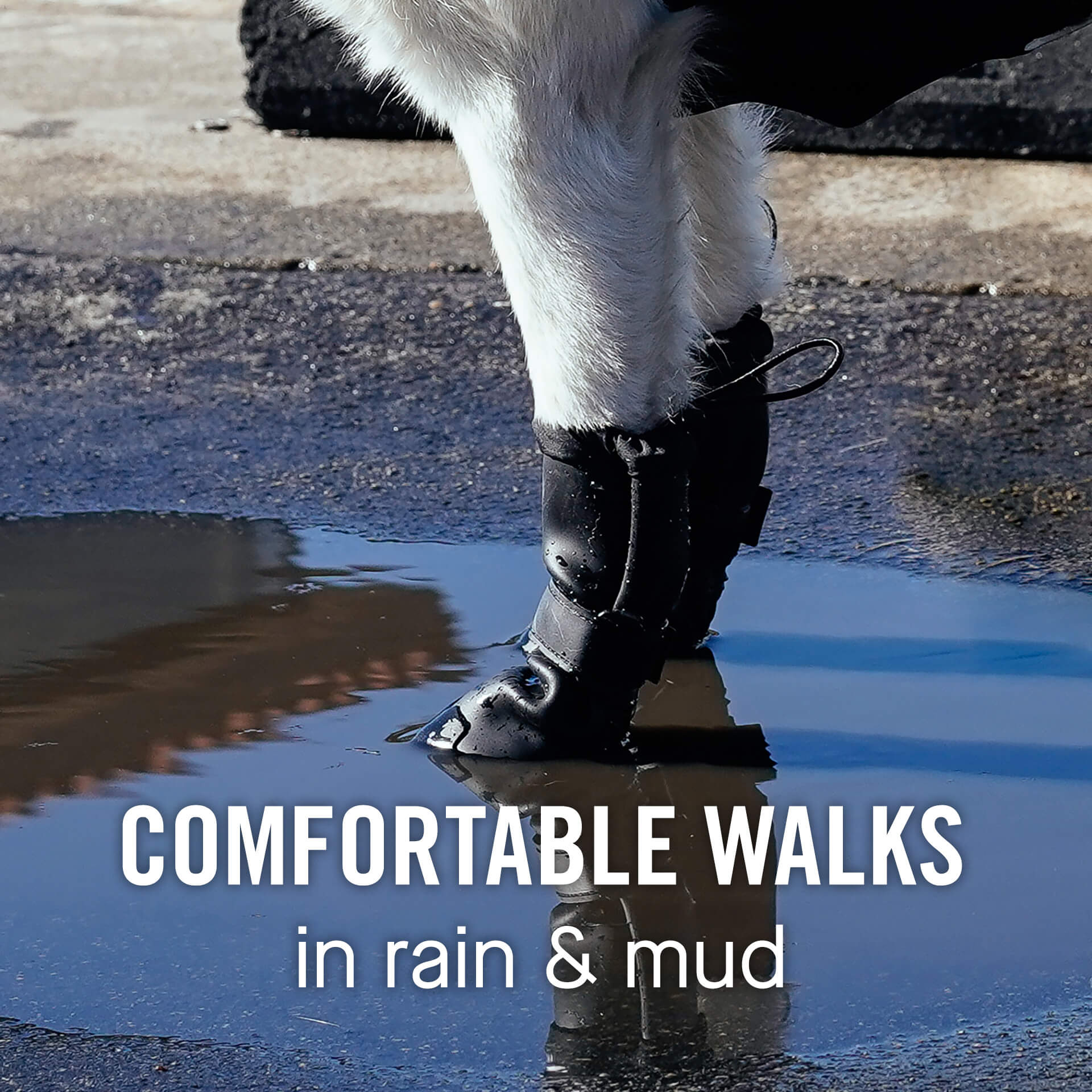 Waterproof Rain Boots - Image 11