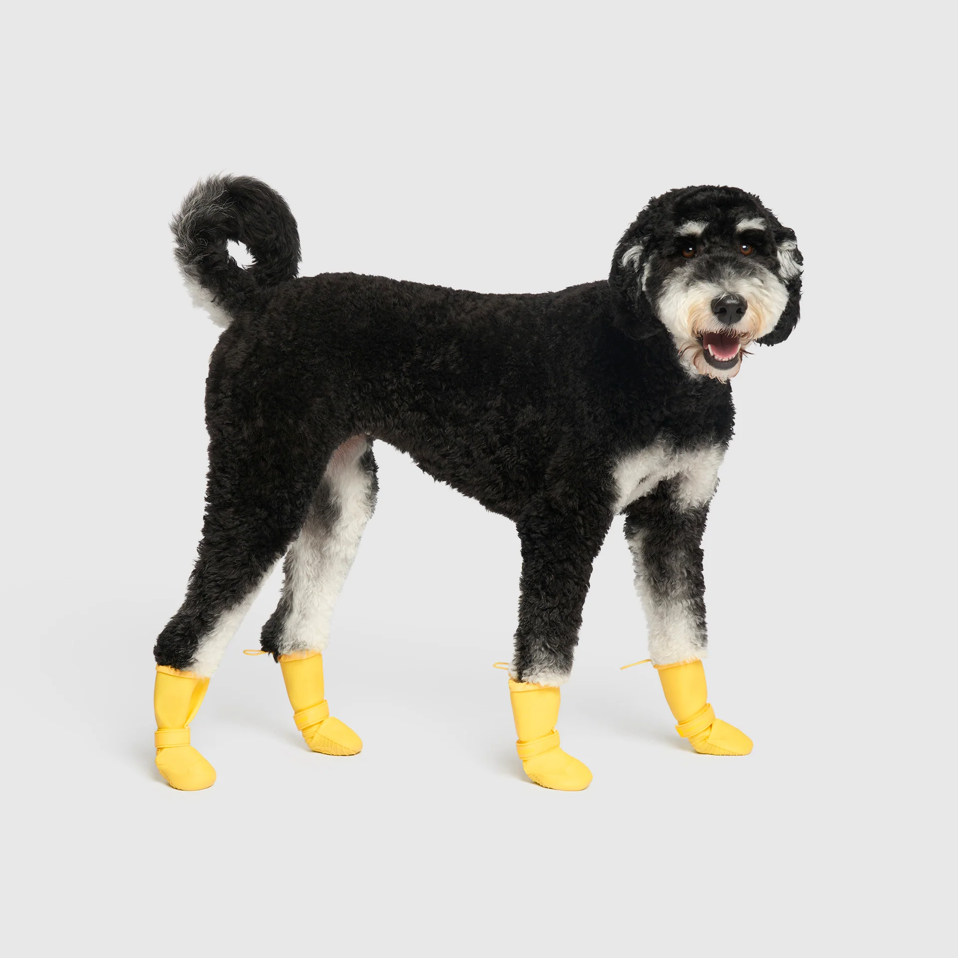 Waterproof Rain Boots - Image 13