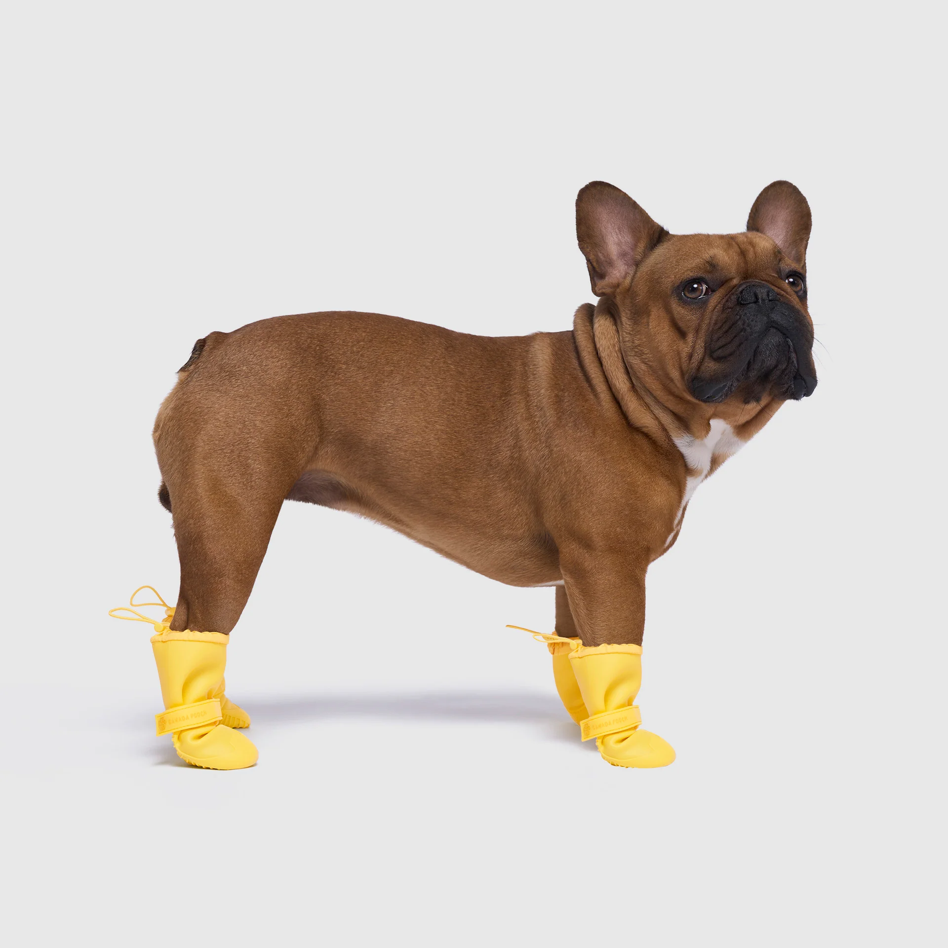 Waterproof Rain Boots - Image 16