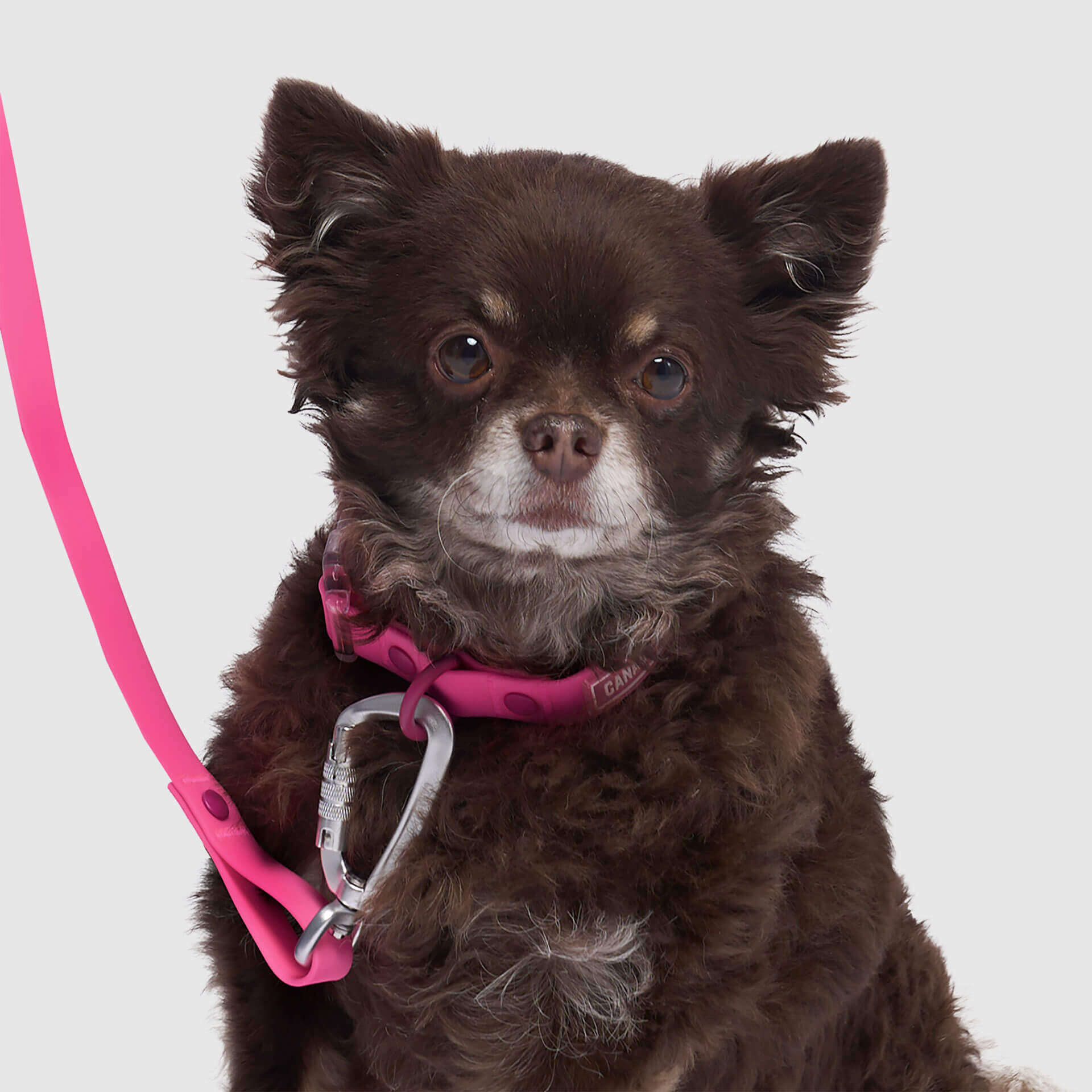 Waterproof Collar - Image 15