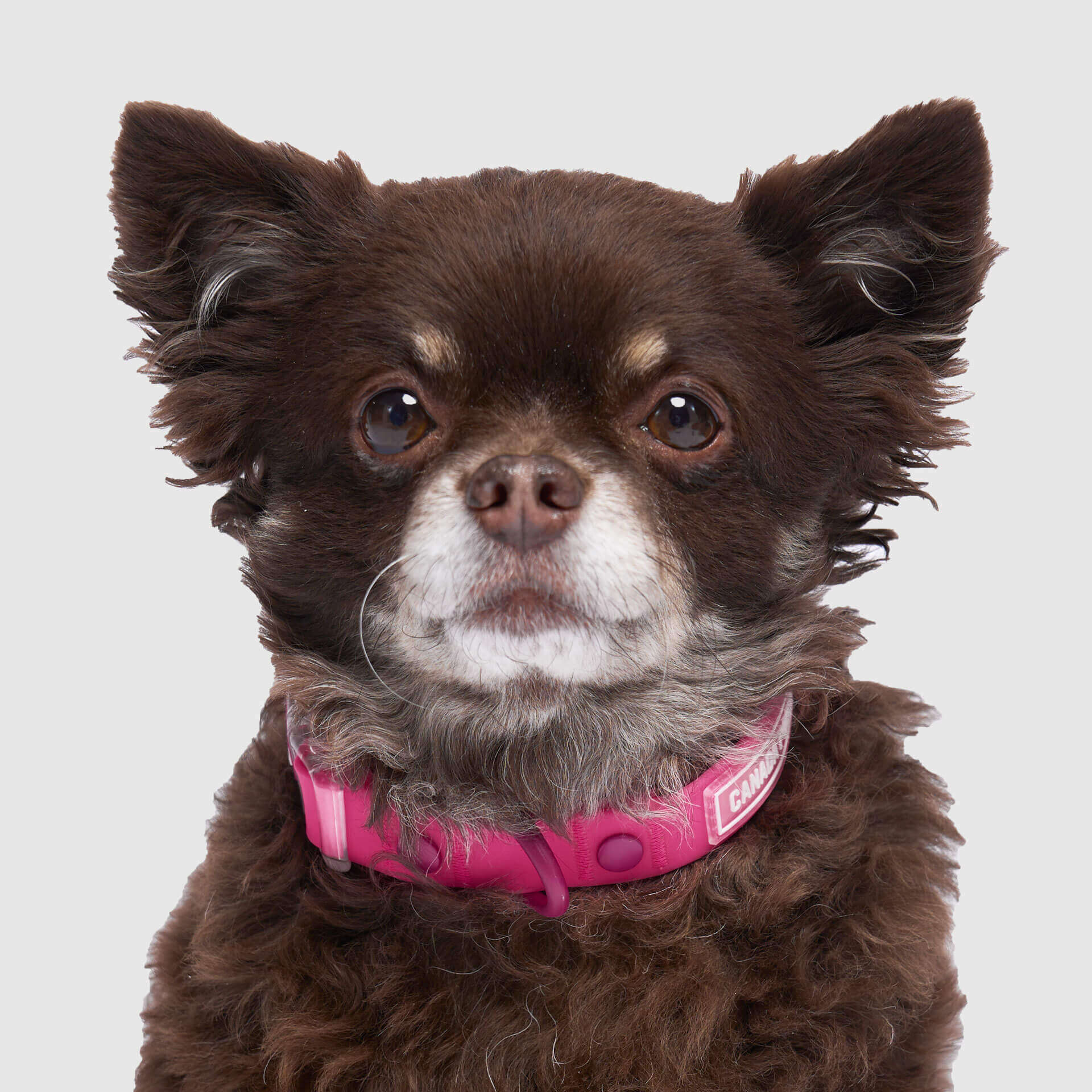Waterproof Collar - Image 16