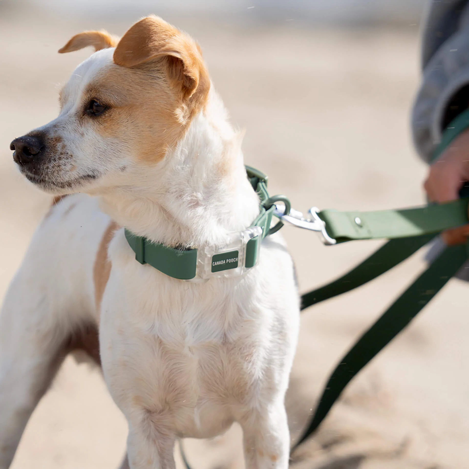 Waterproof Collar - Image 22