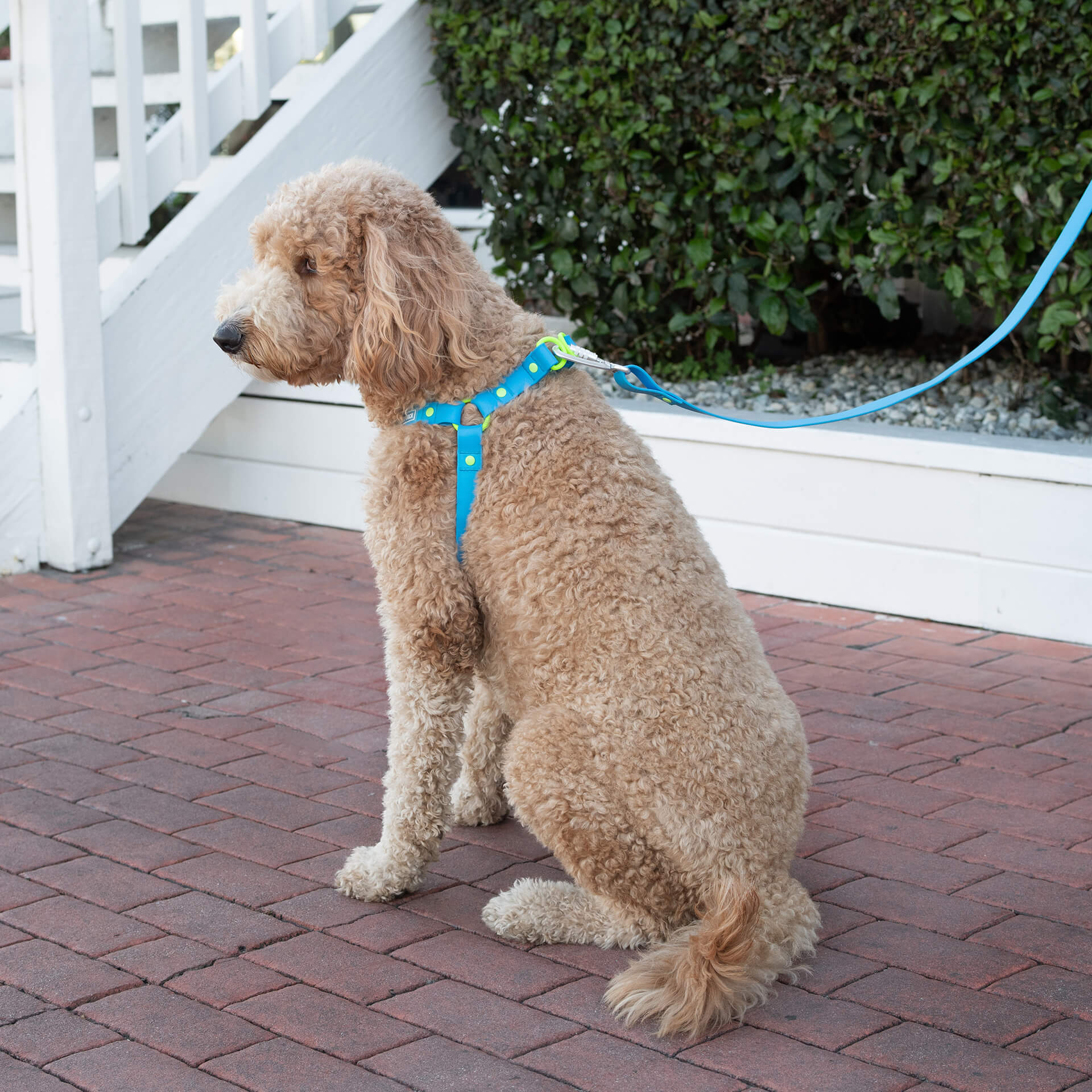 Waterproof Harness - Image 10