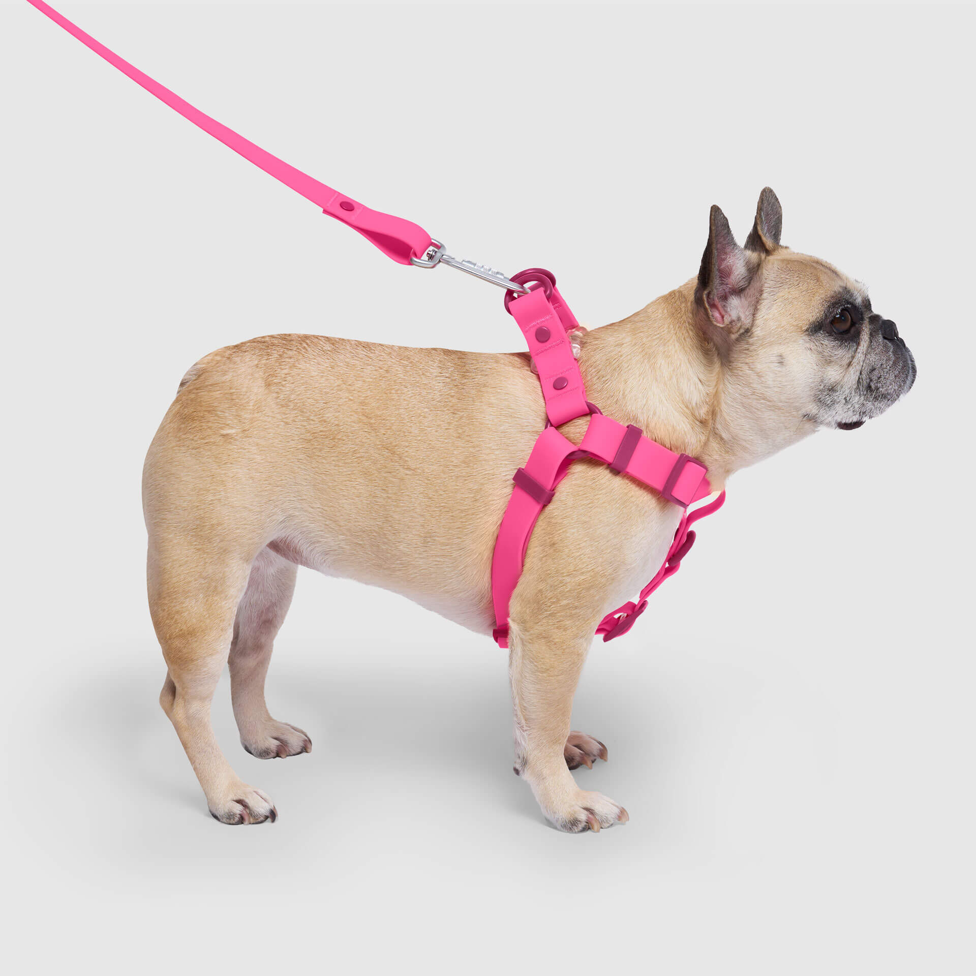 Waterproof Harness - Image 12