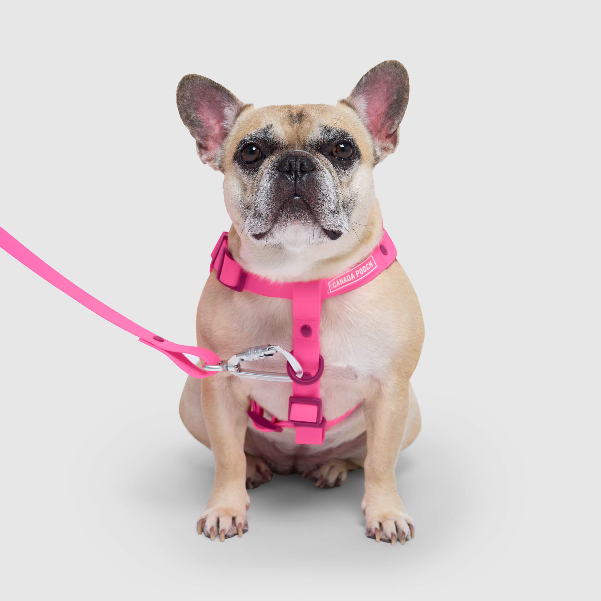 Waterproof Harness - Image 13