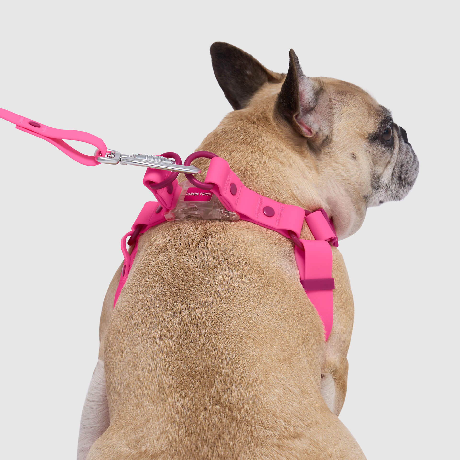 Waterproof Harness - Image 14
