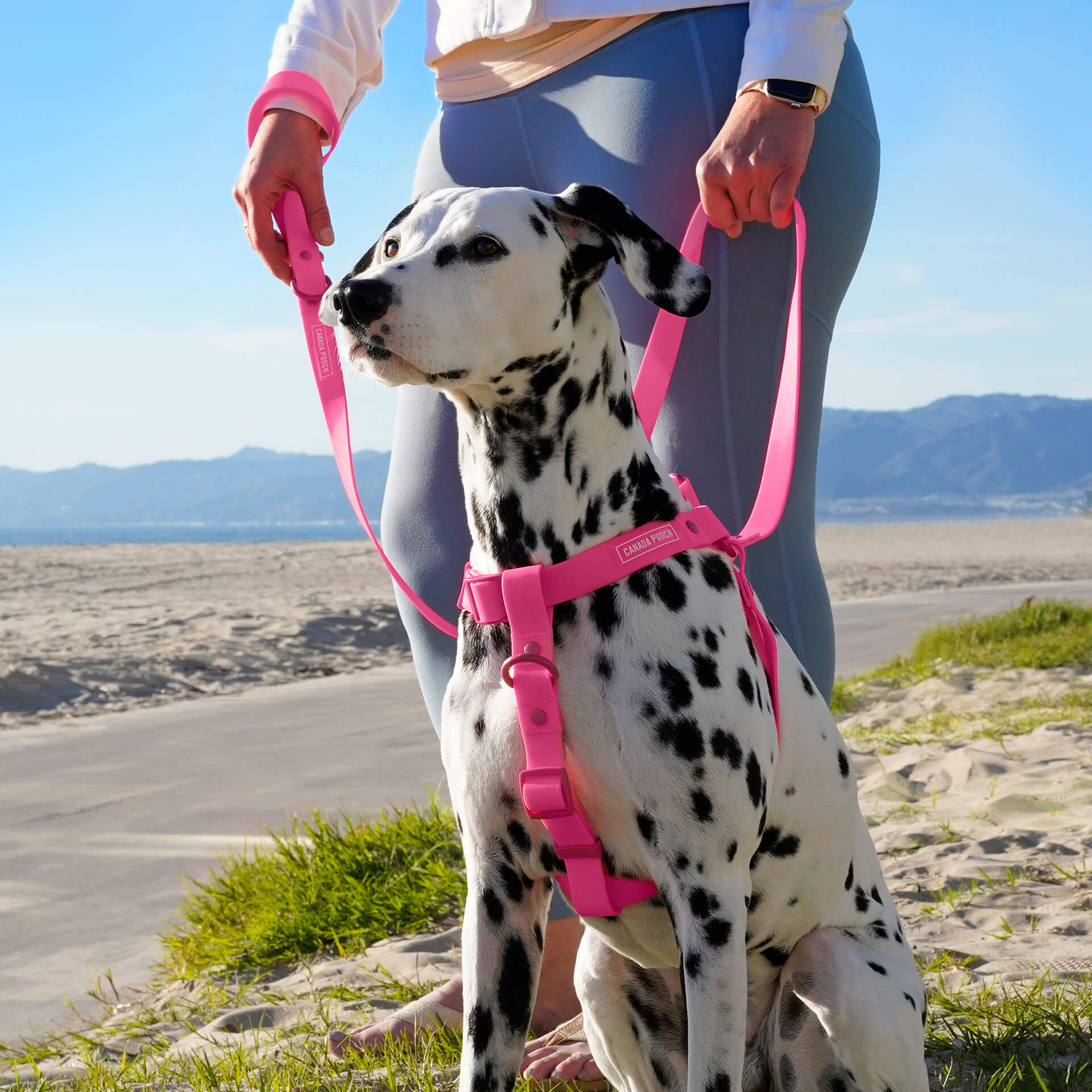 Waterproof Harness - Image 15