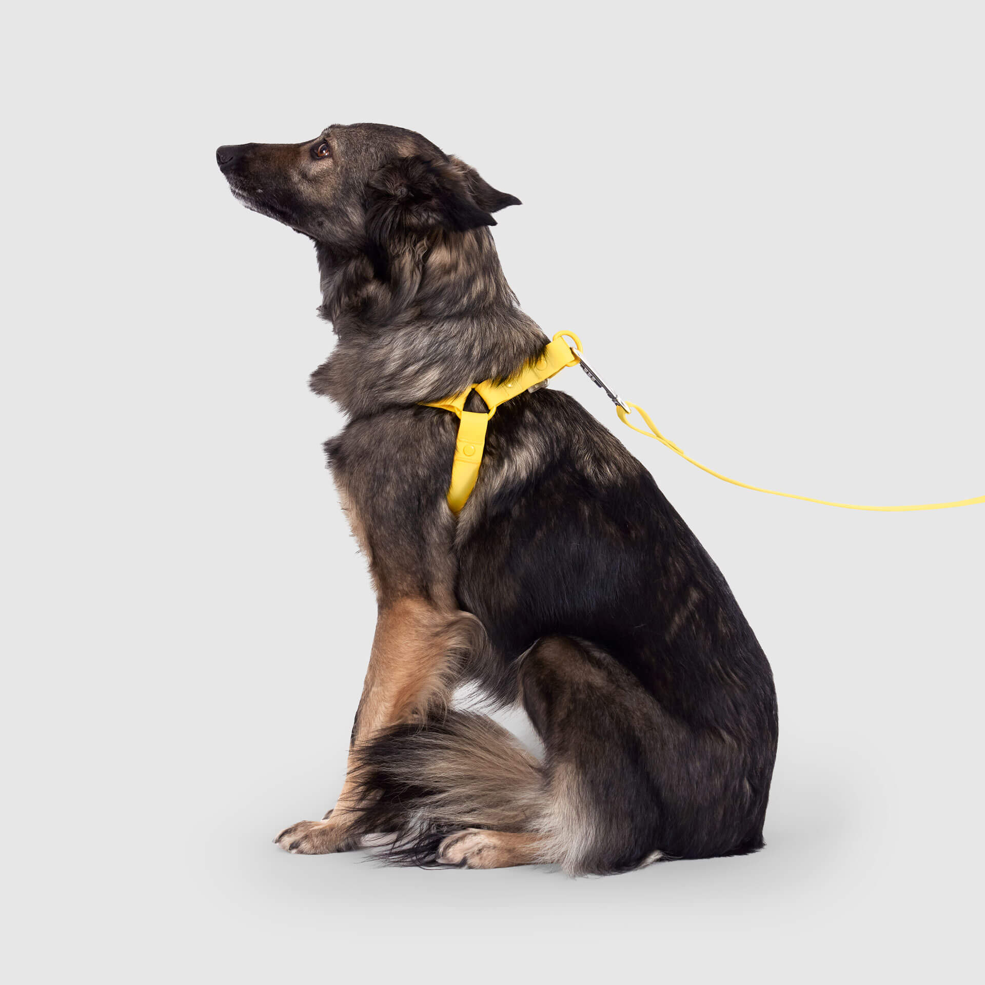 Waterproof Harness - Image 17