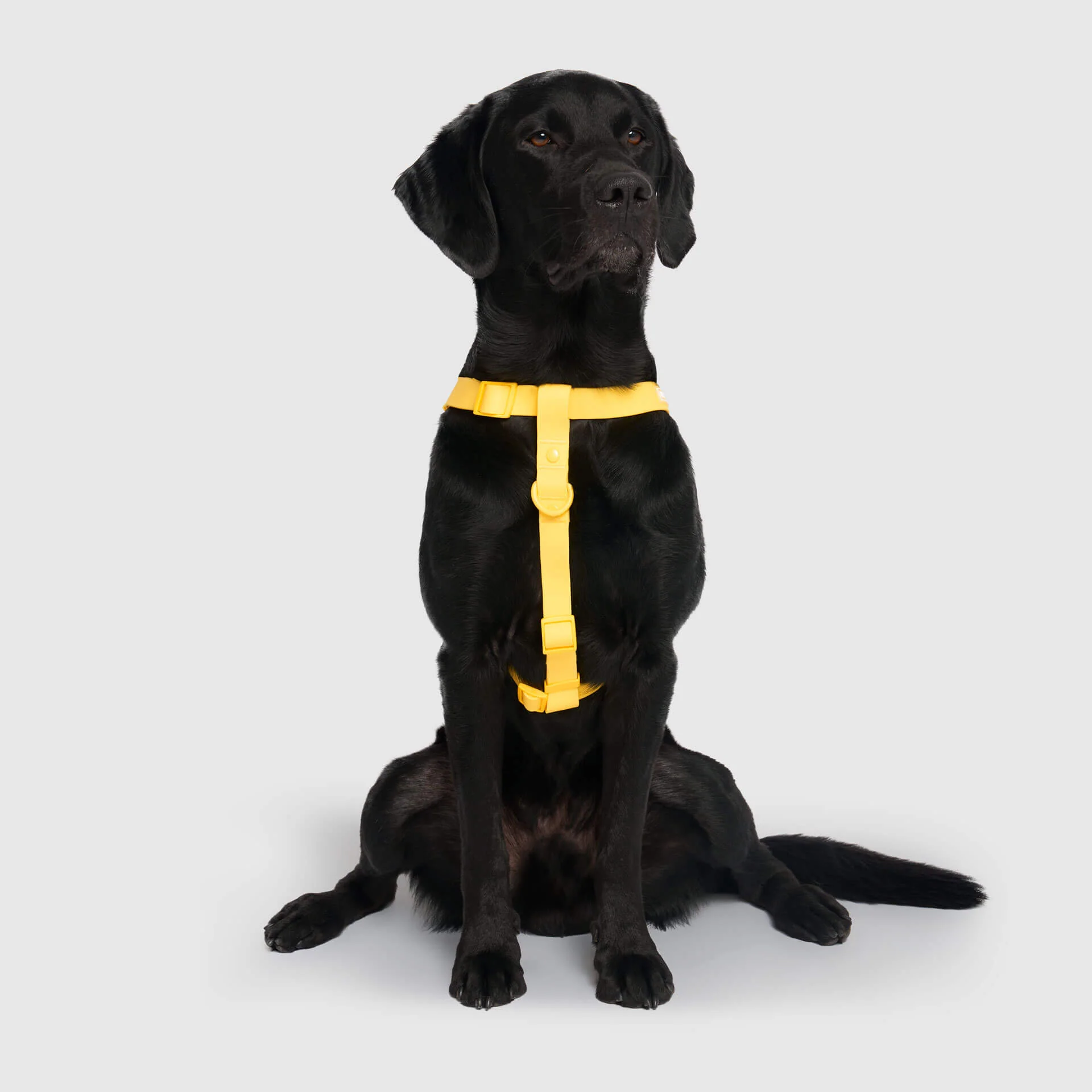 Waterproof Harness - Image 18