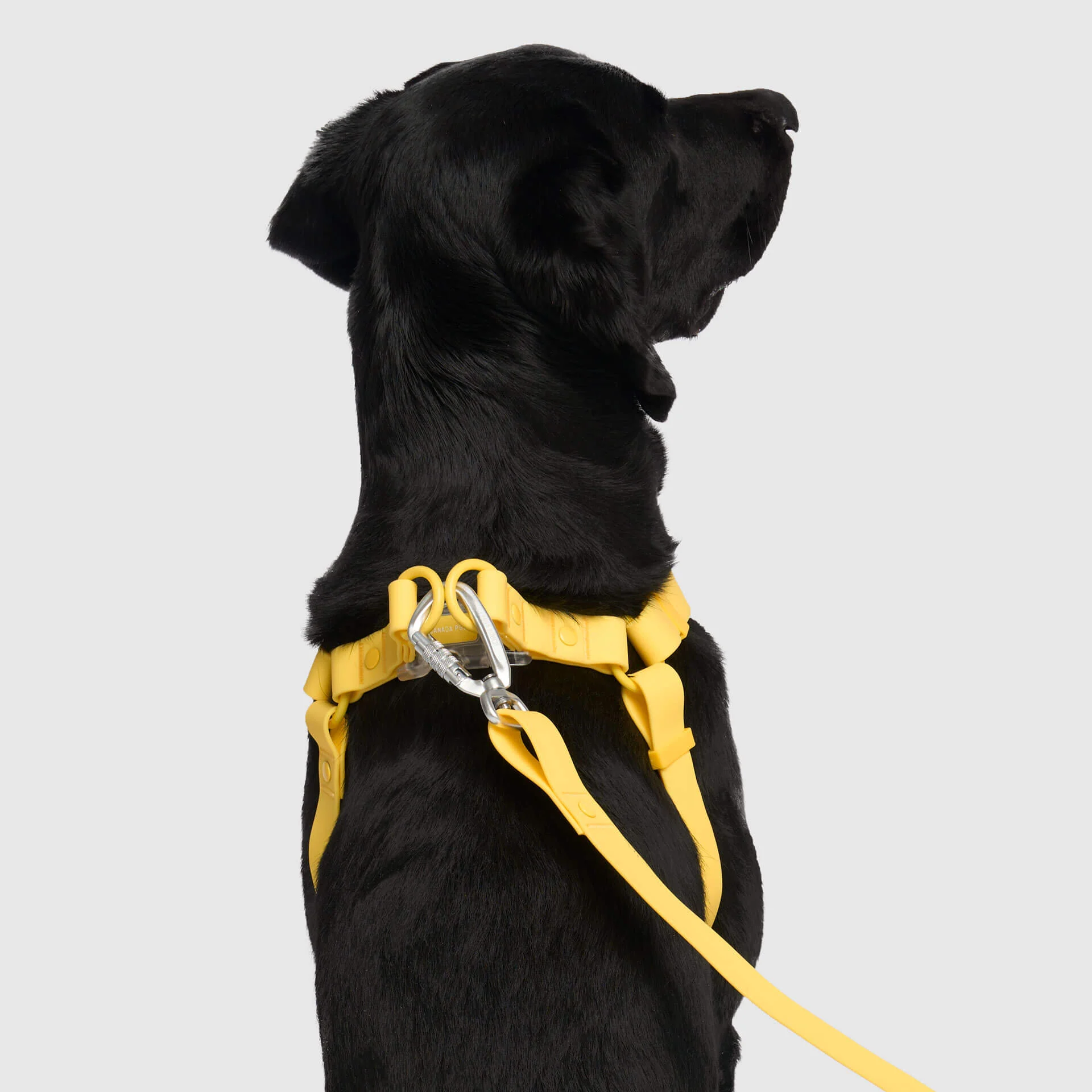 Waterproof Harness - Image 19