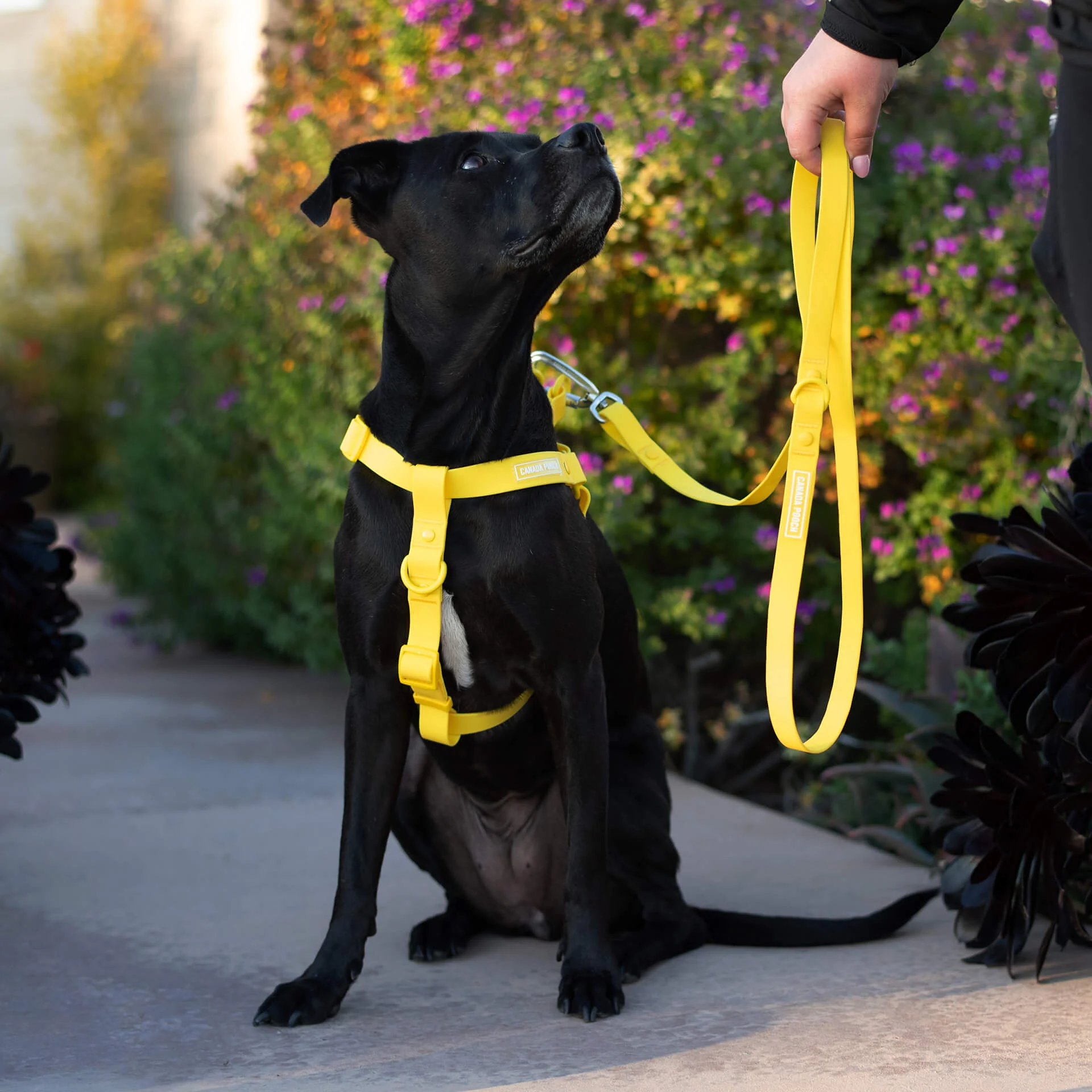 Waterproof Harness - Image 20
