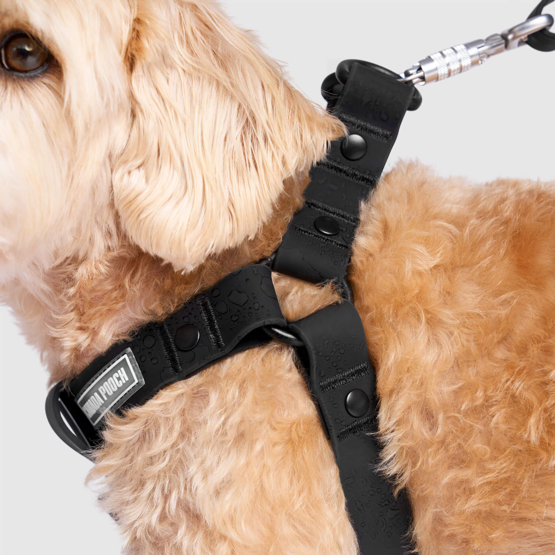 Waterproof Harness - Image 3