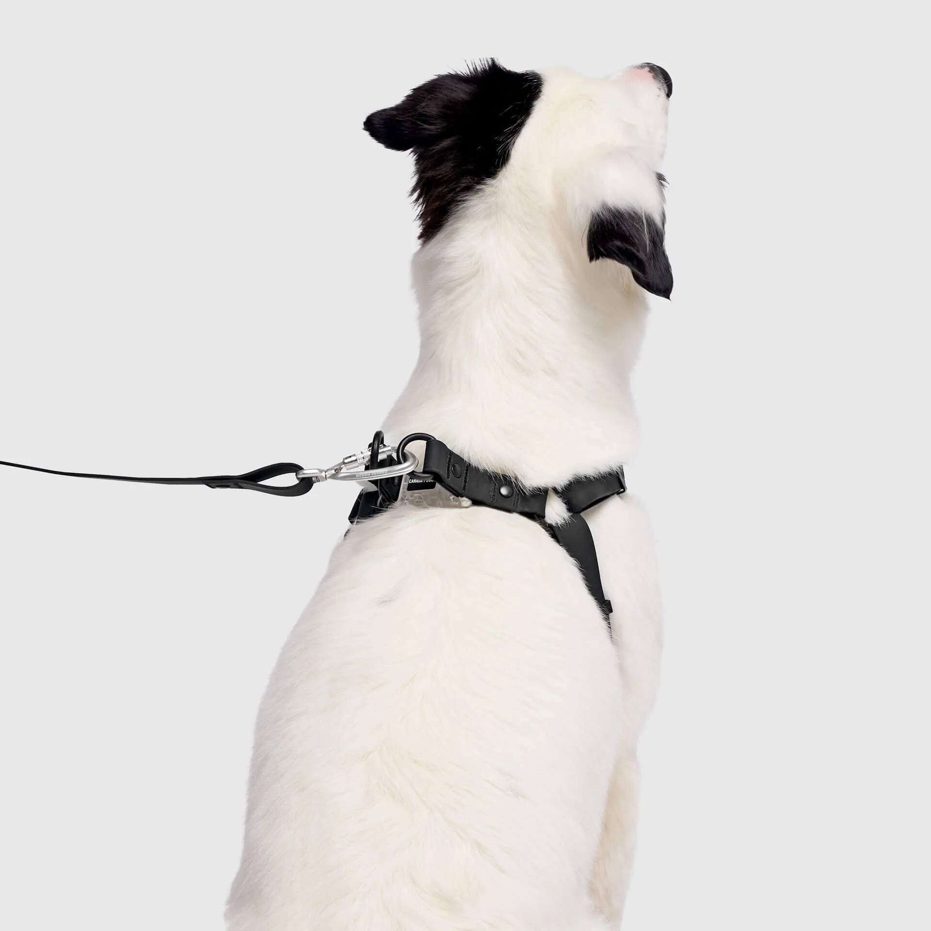 Waterproof Harness - Image 4