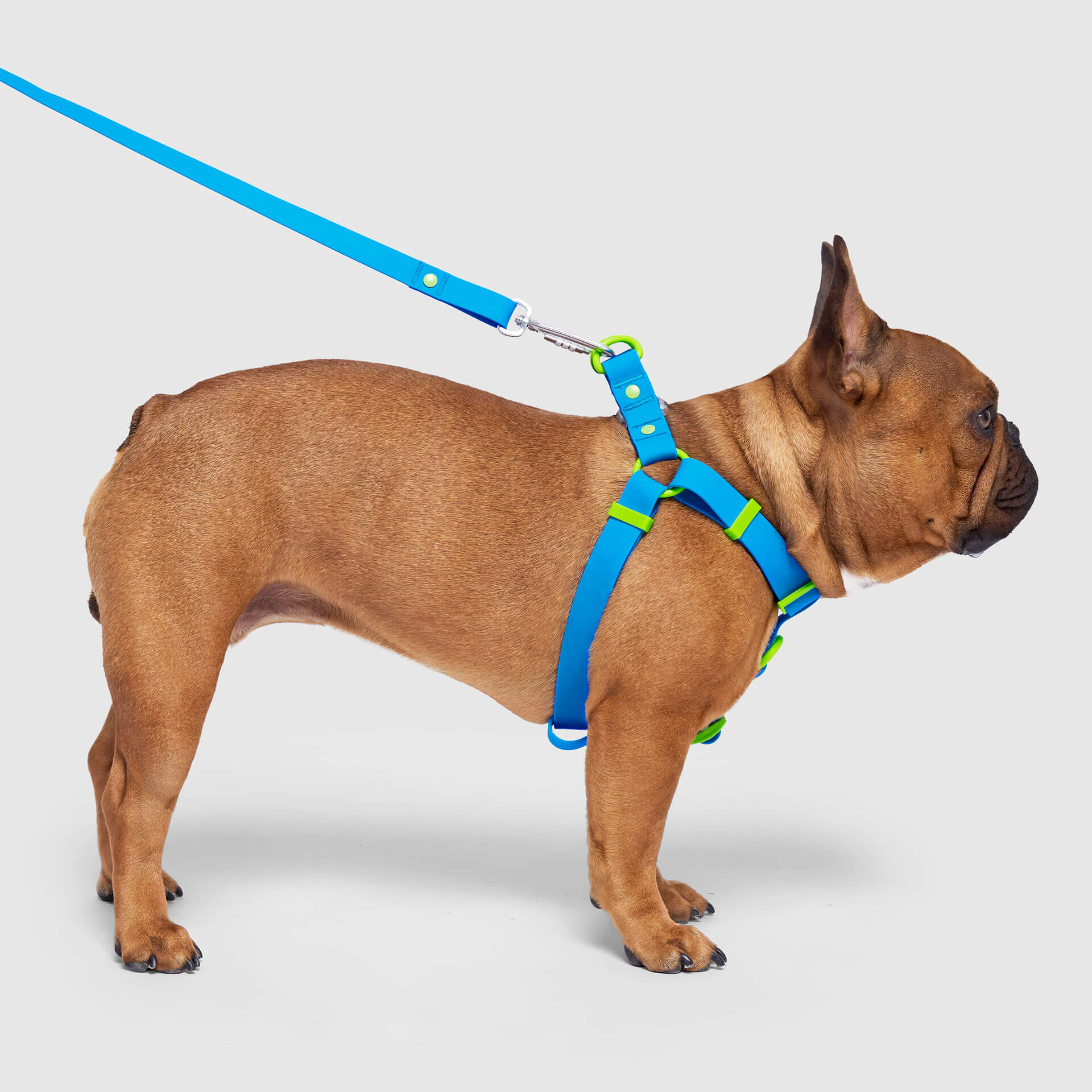 Waterproof Harness - Image 7