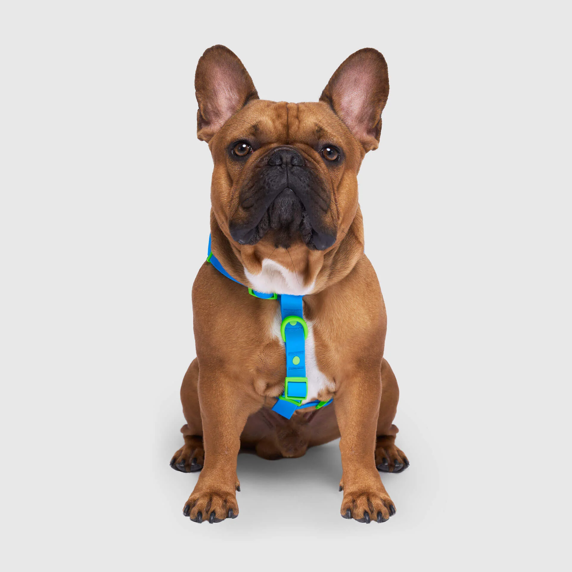 Waterproof Harness - Image 8