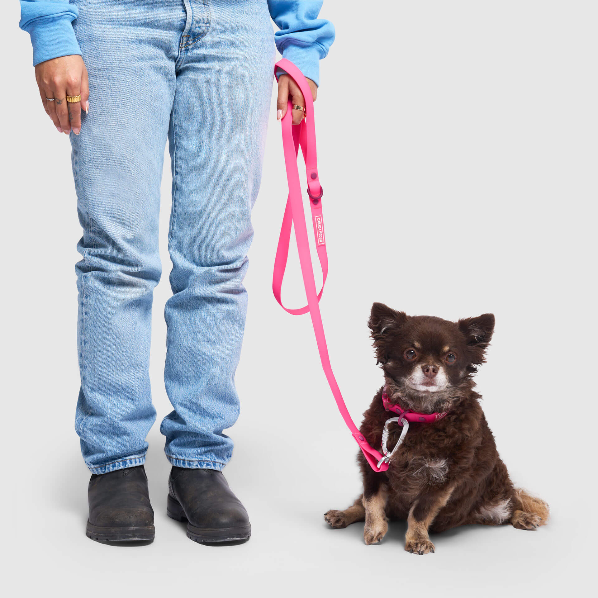 Waterproof Leash - Image 12