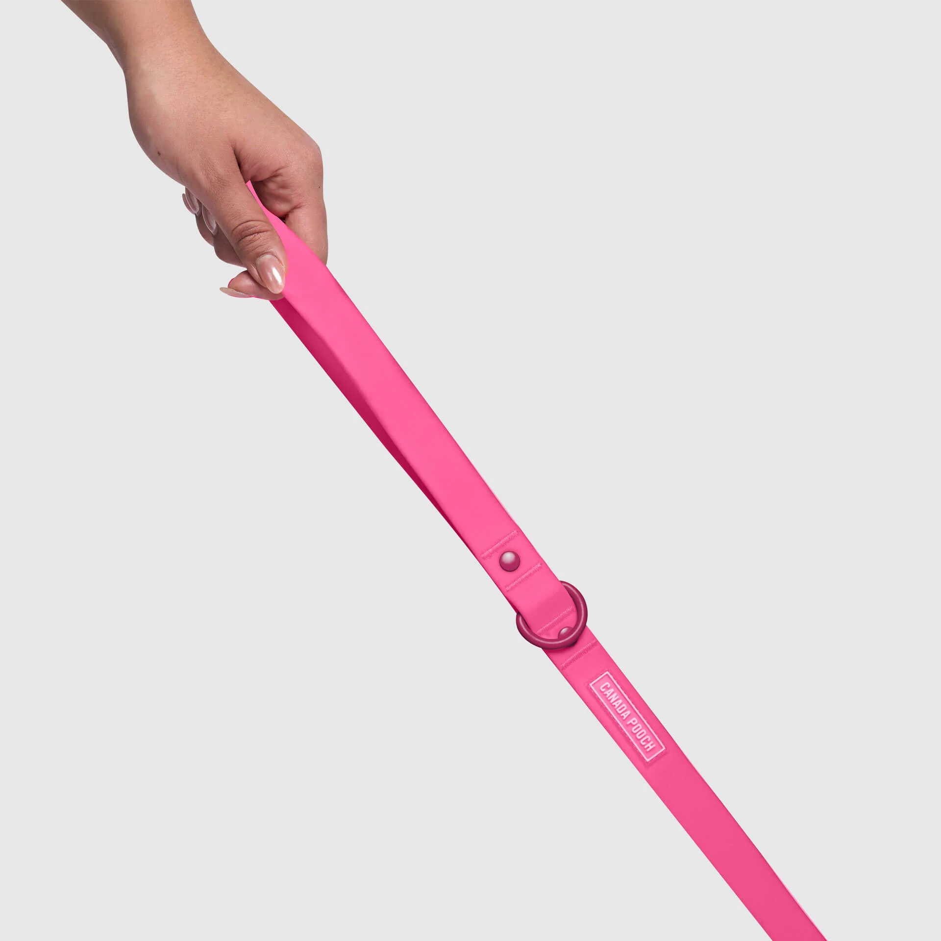 Waterproof Leash - Image 14