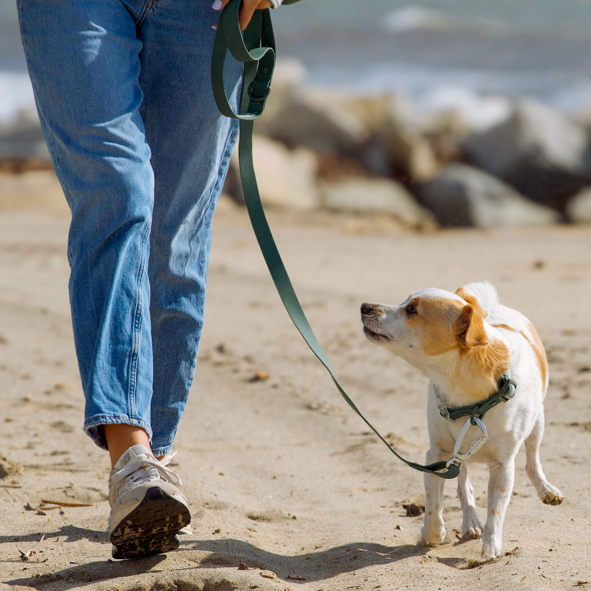 Waterproof Leash - Image 25