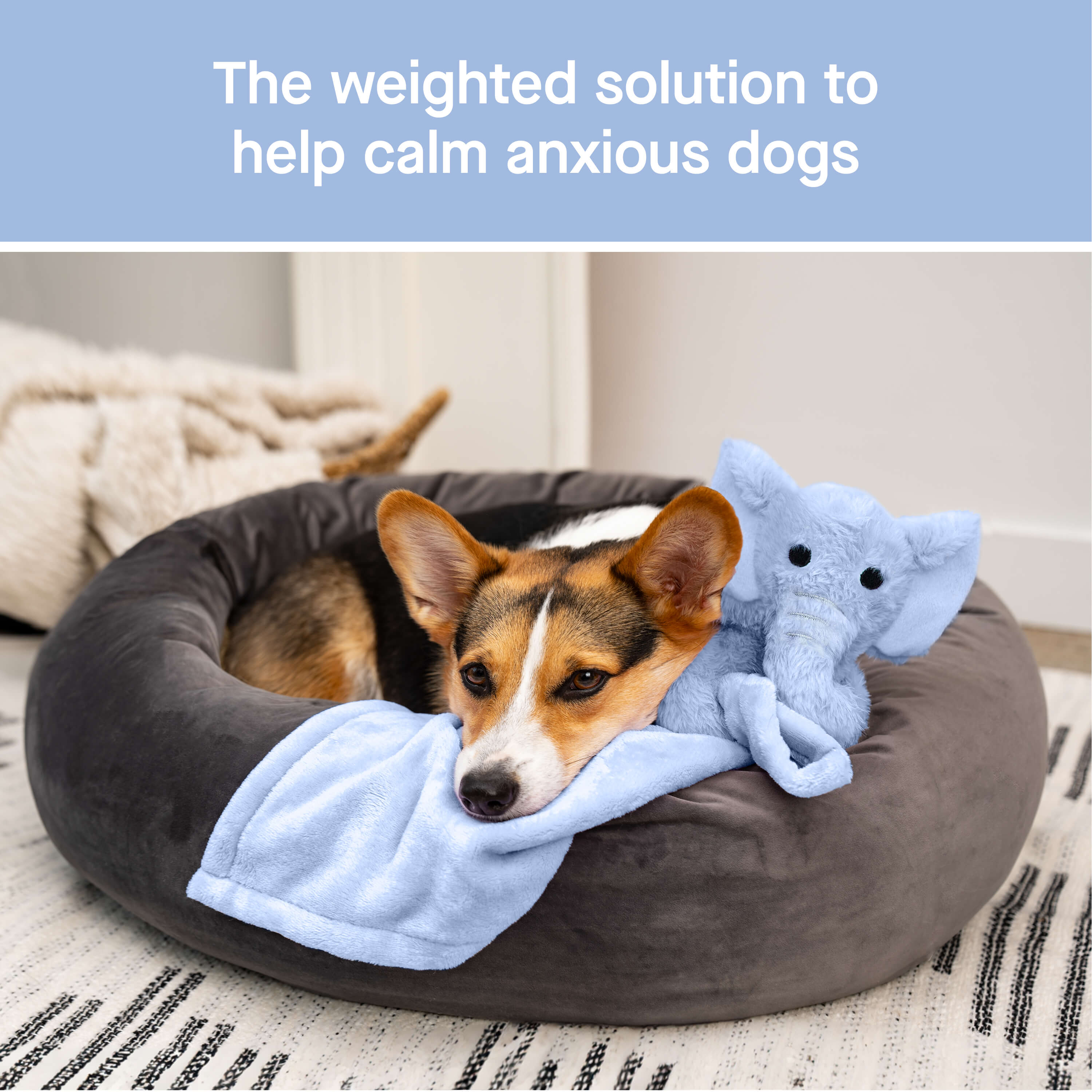 Weighted Calming Toy - Image 13
