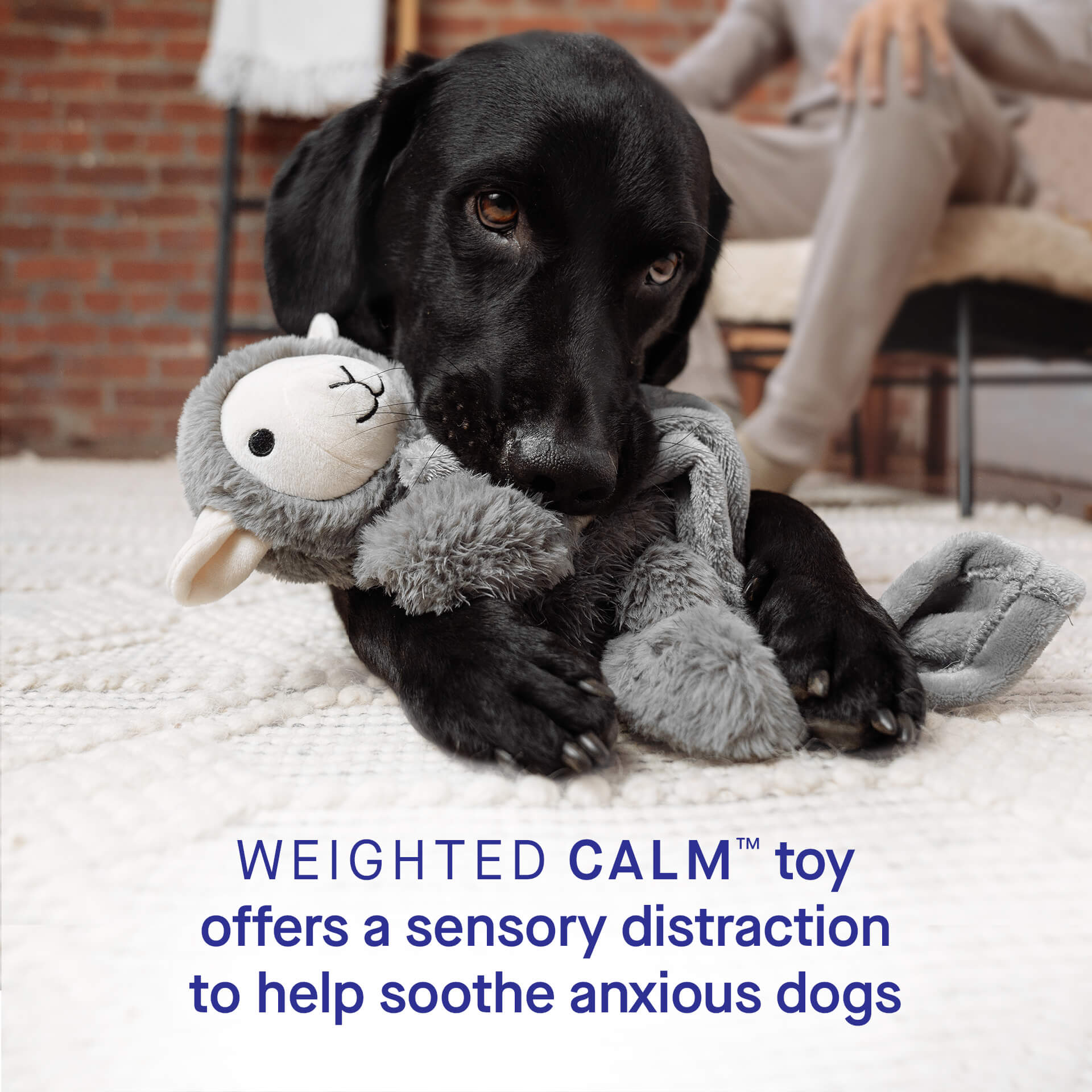 Weighted Calming Toy - Image 3