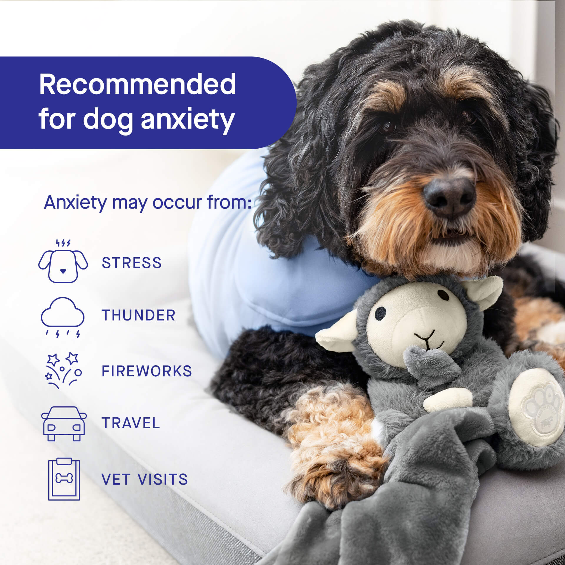 Weighted Calming Toy - Image 5