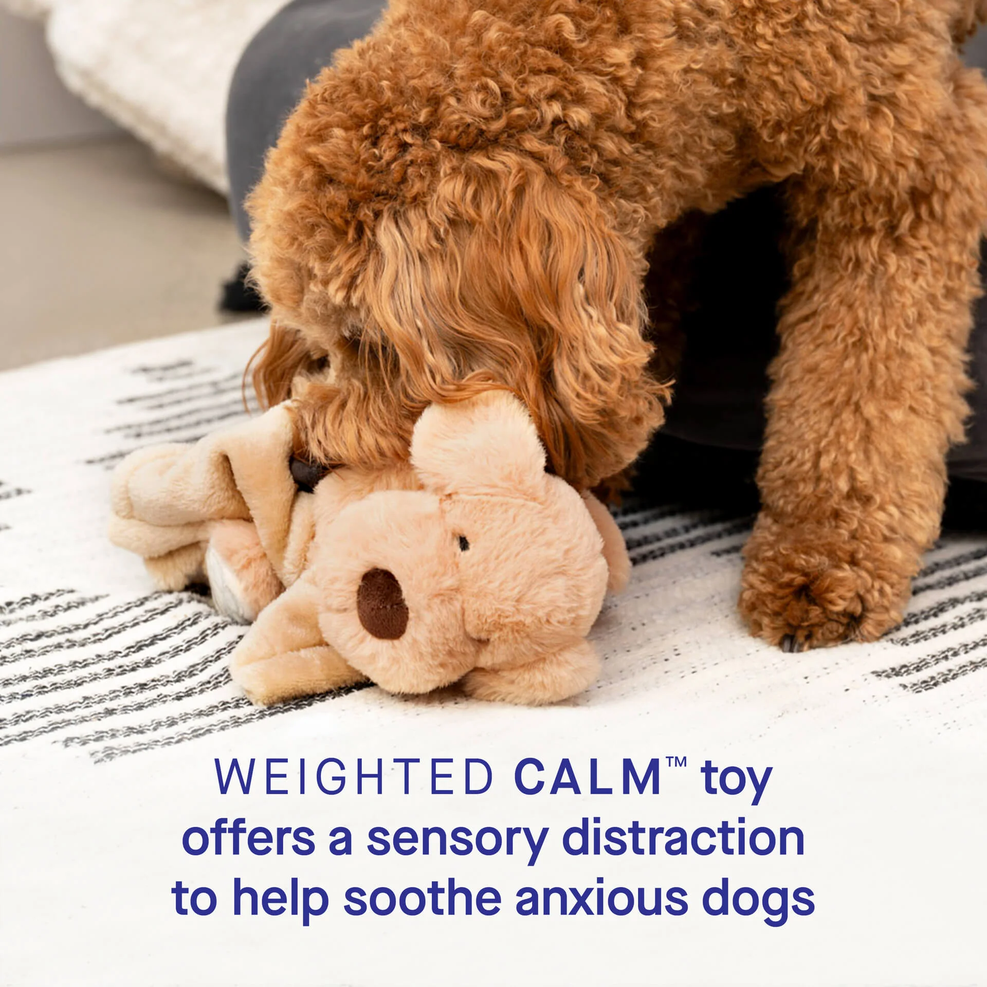 Weighted Calming Toy - Image 9