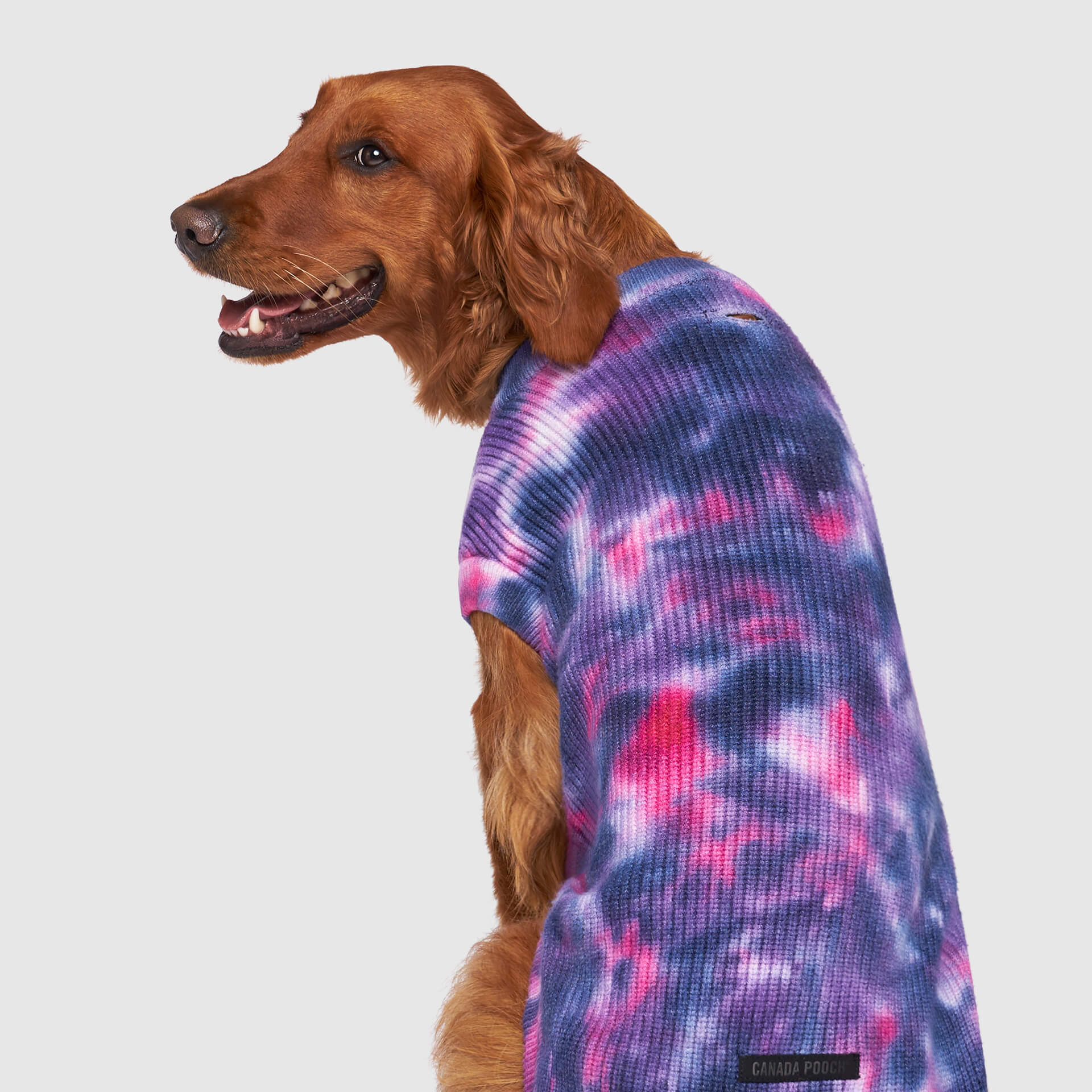 Wild Side Sweater - Image 3