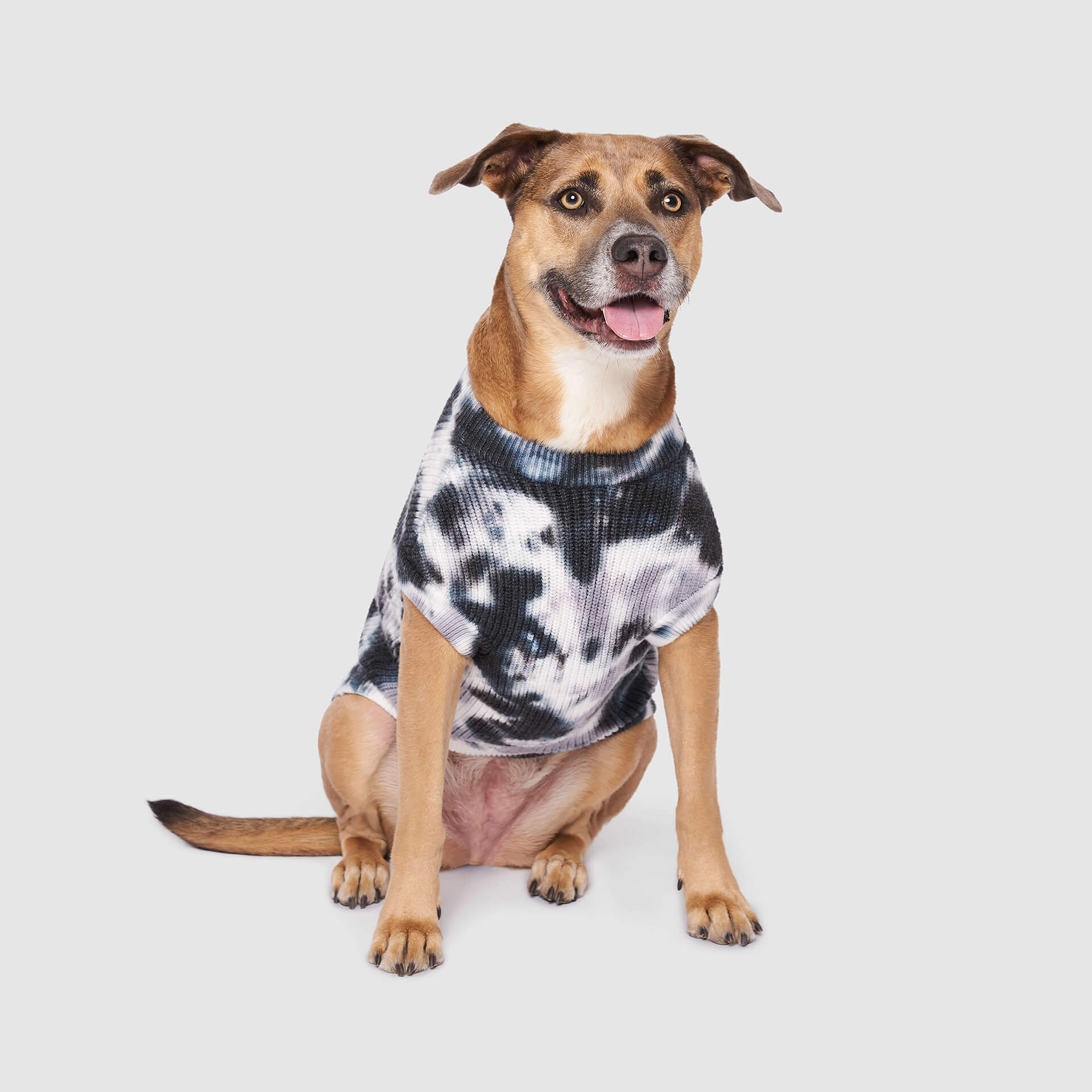 Wild Side Sweater - Image 6
